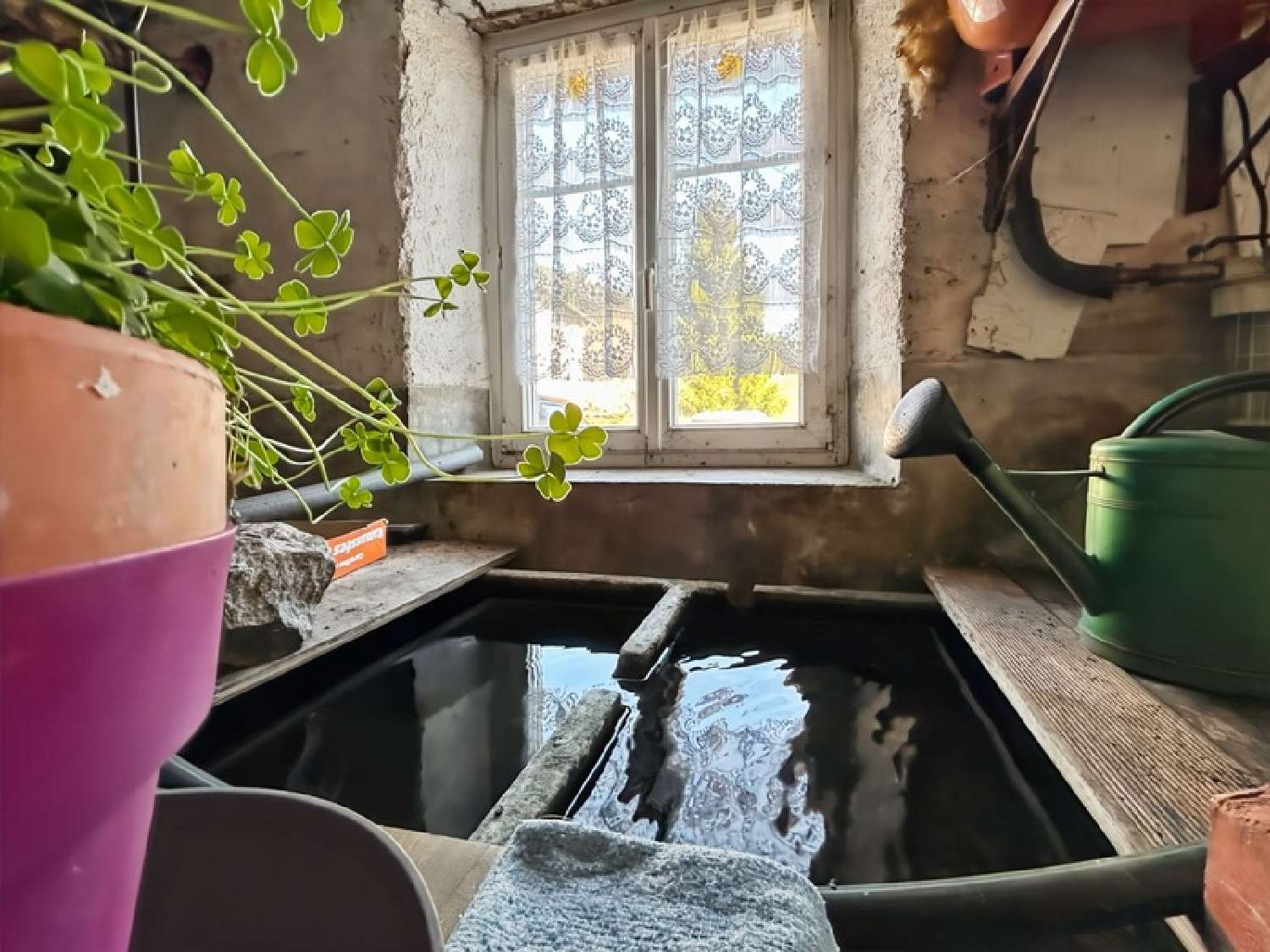 à vendre ferme Gérardmer Vosges 6