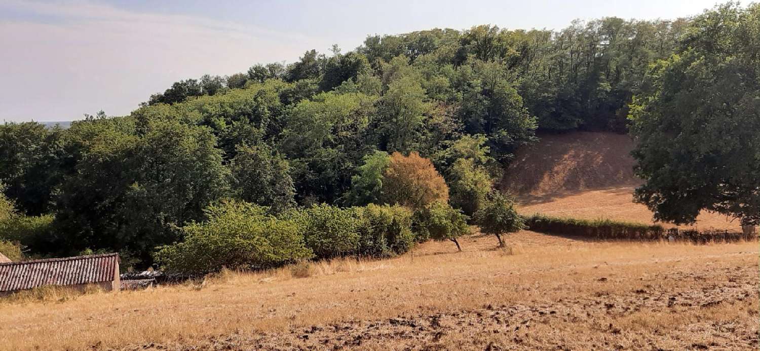 en venta casa rústica La Motte-Saint-Jean Saône-et-Loire 5