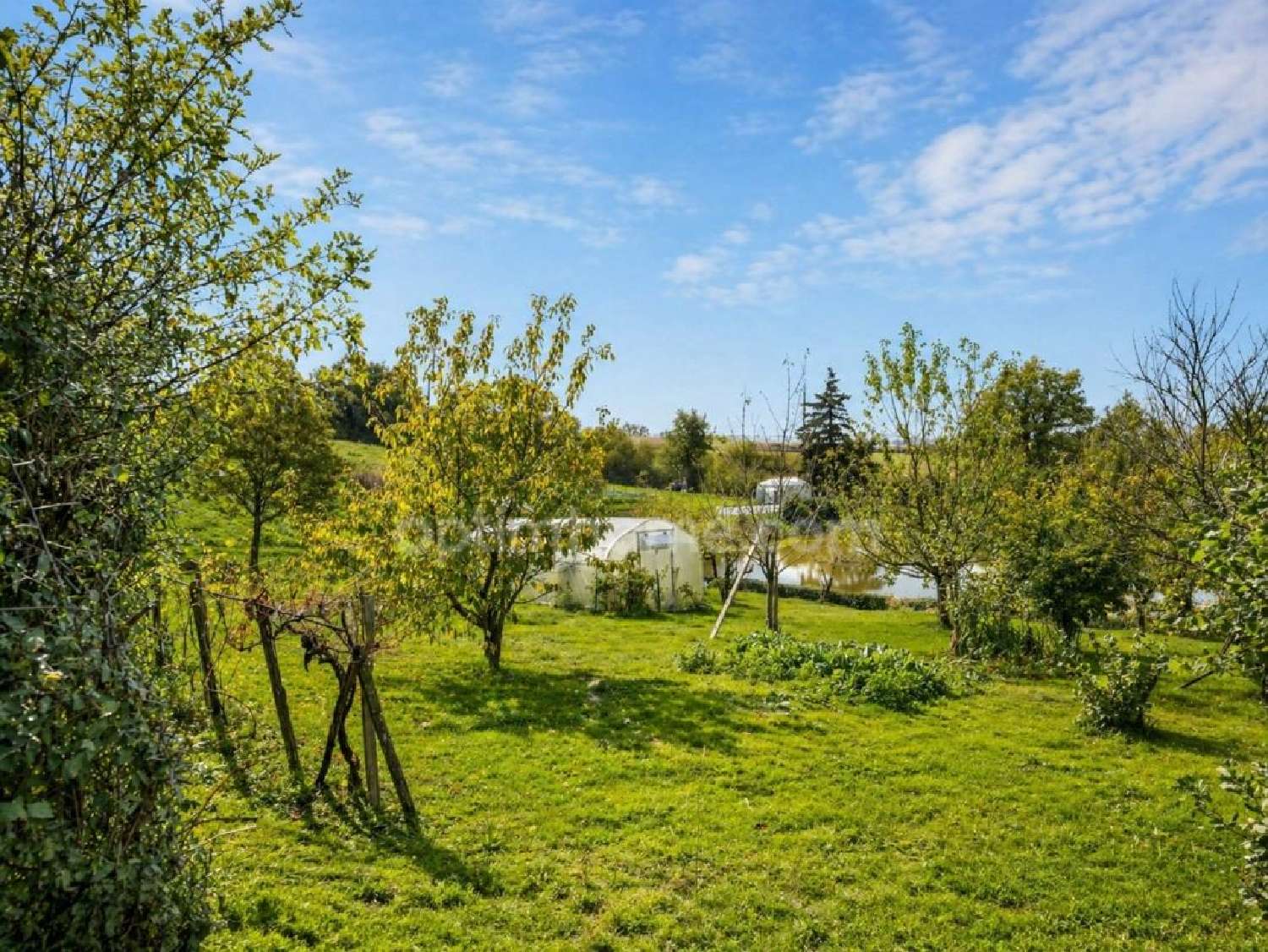 te koop boerderij Le Puy-Saint-Bonnet Maine-et-Loire 2