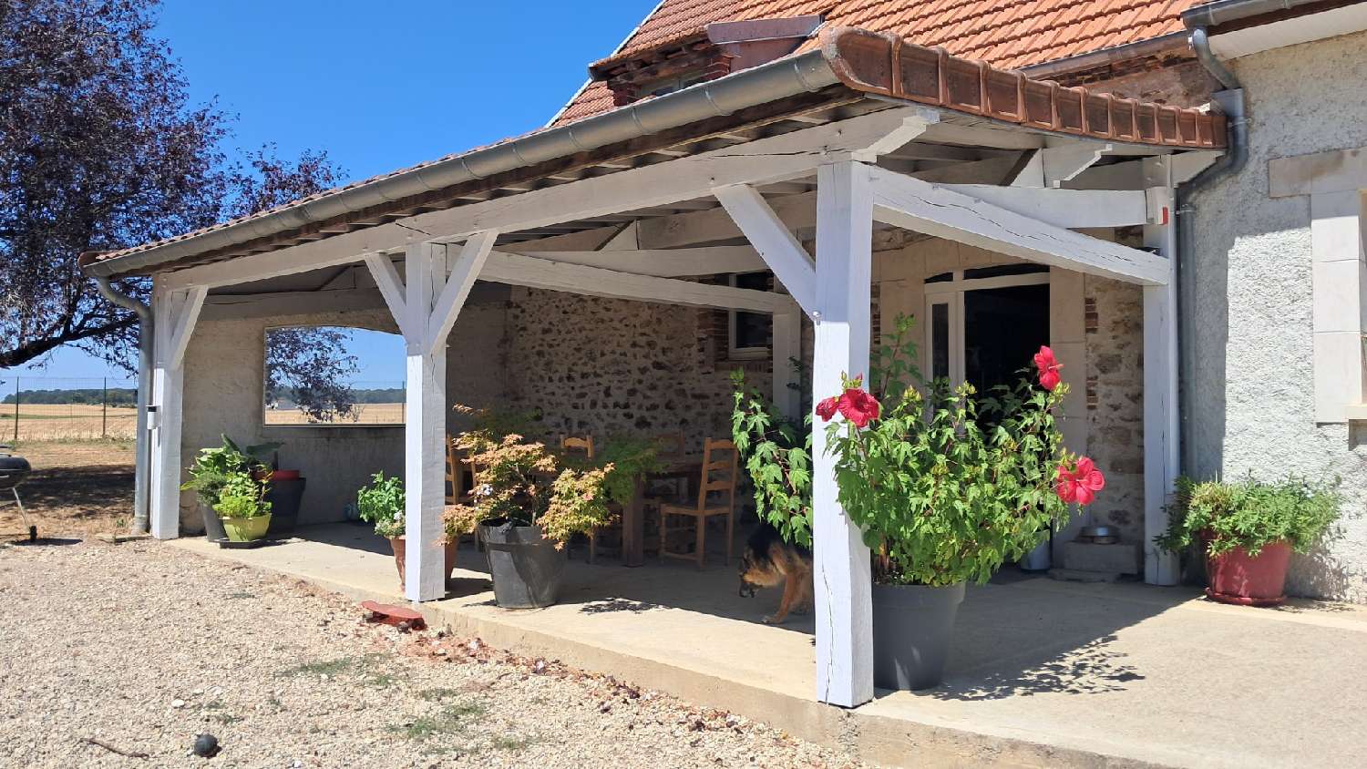 te koop boerderij Le Thoult-Trosnay Marne 3