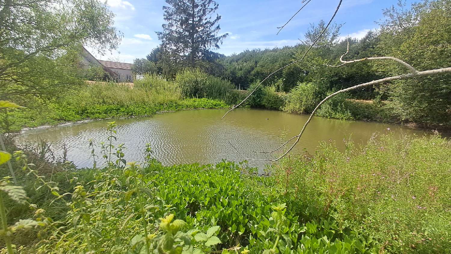 te koop boerderij Le Thoult-Trosnay Marne 6