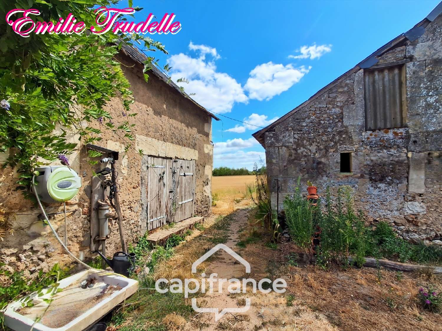 for sale farm Lhomme Sarthe 2