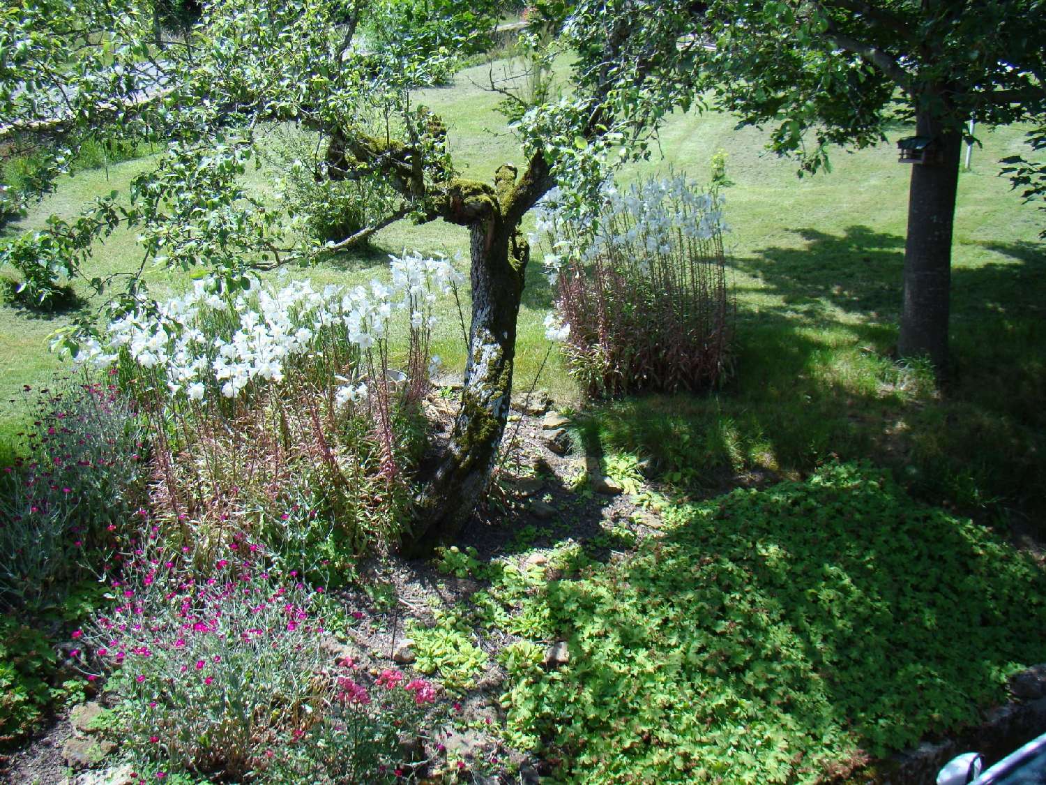 for sale farm Mazillé Saône-et-Loire 3