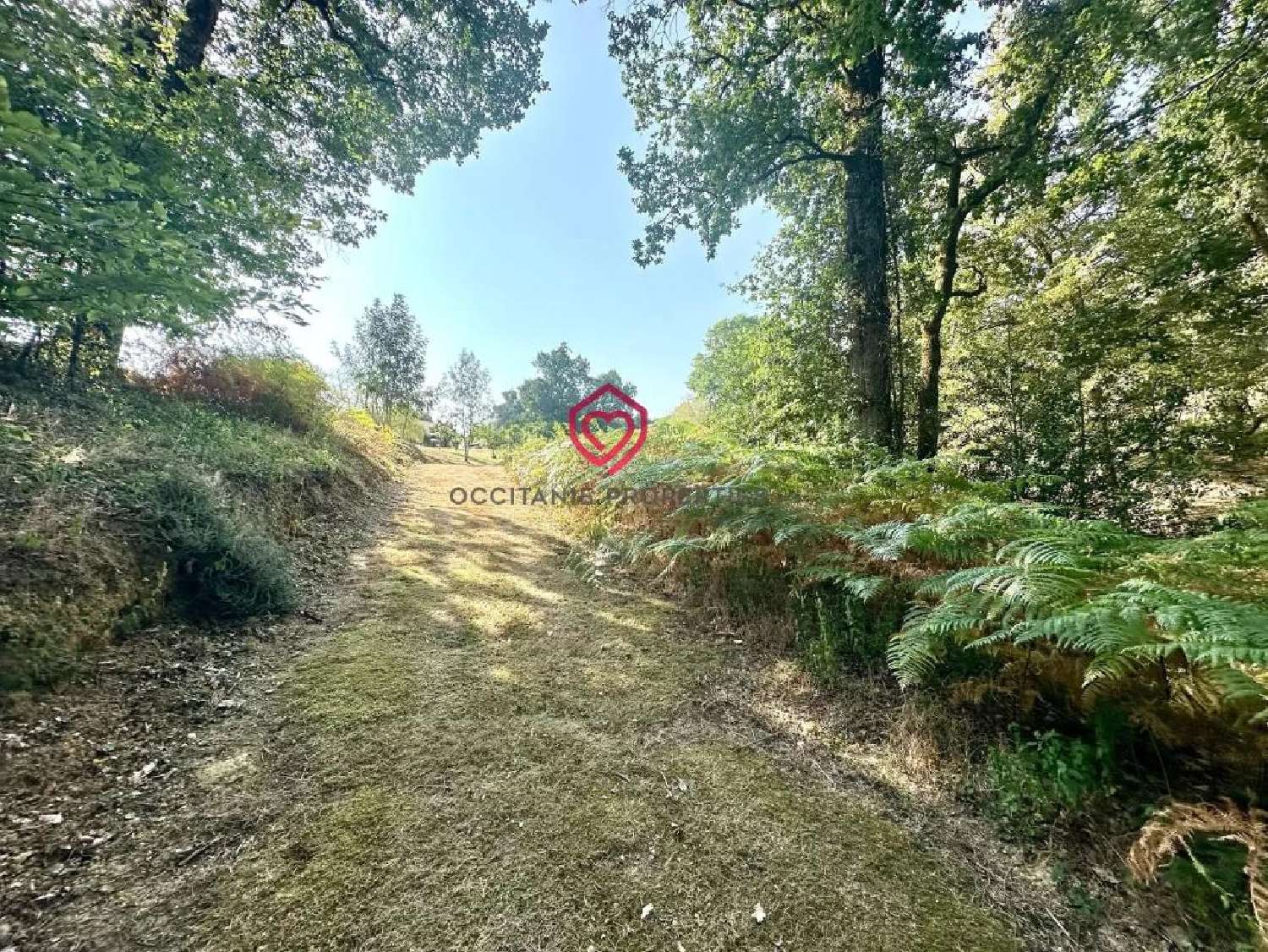  à vendre ferme Miélan Gers 3