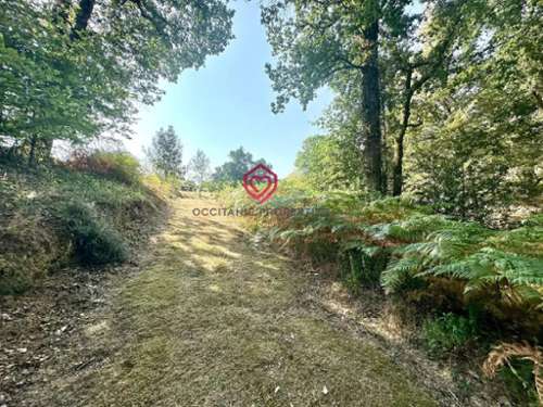  te koop boerderij Miélan Gers 3