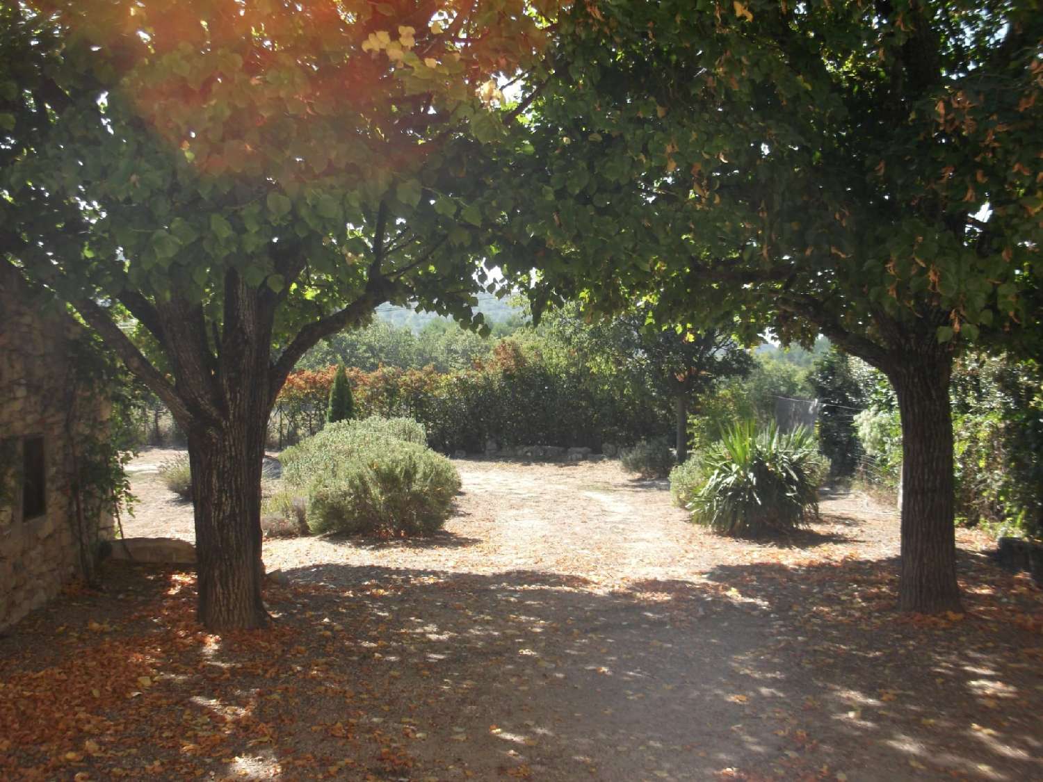 for sale farm Murs Vaucluse 5