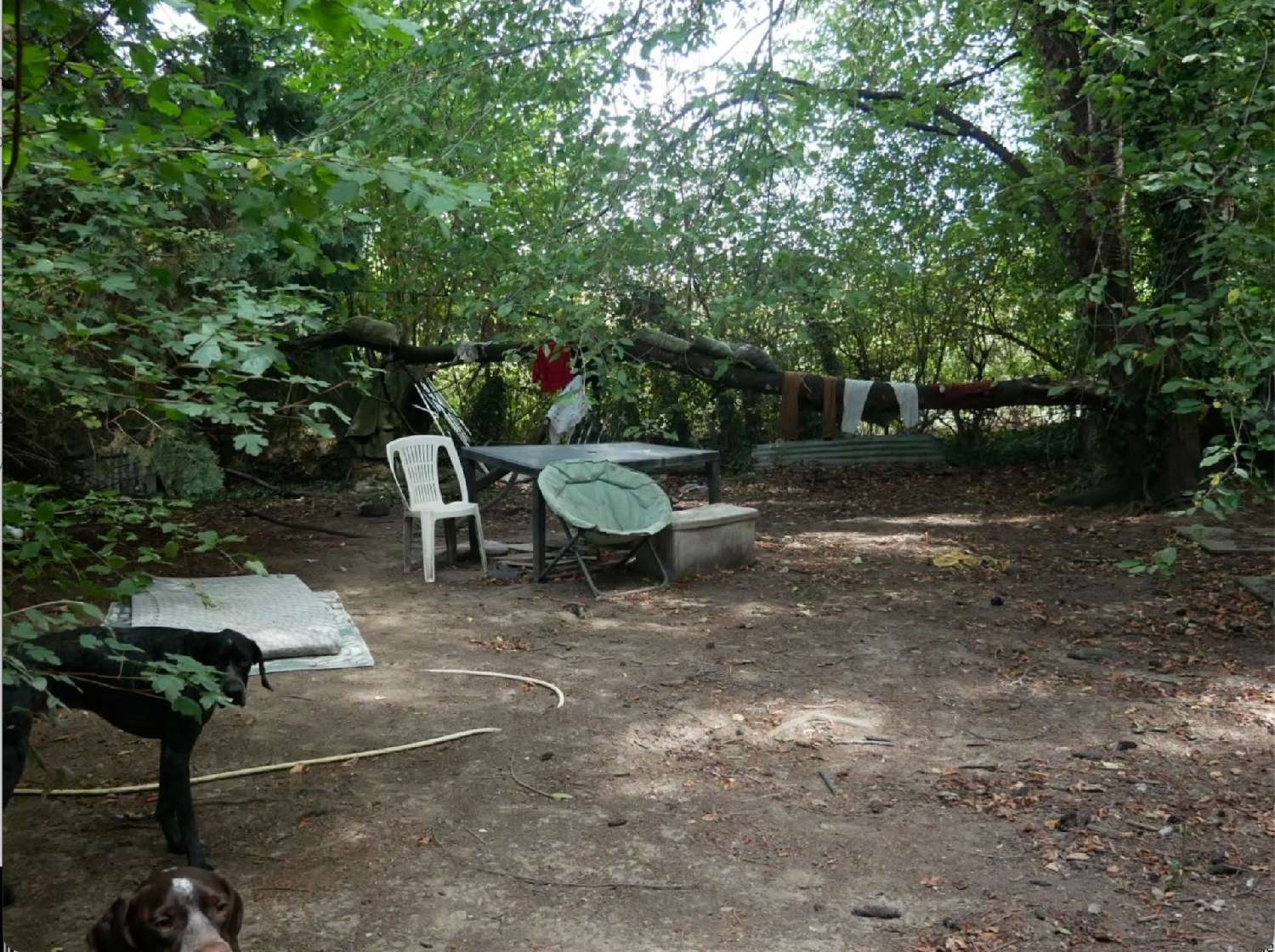 for sale farm Nolay Nièvre 6