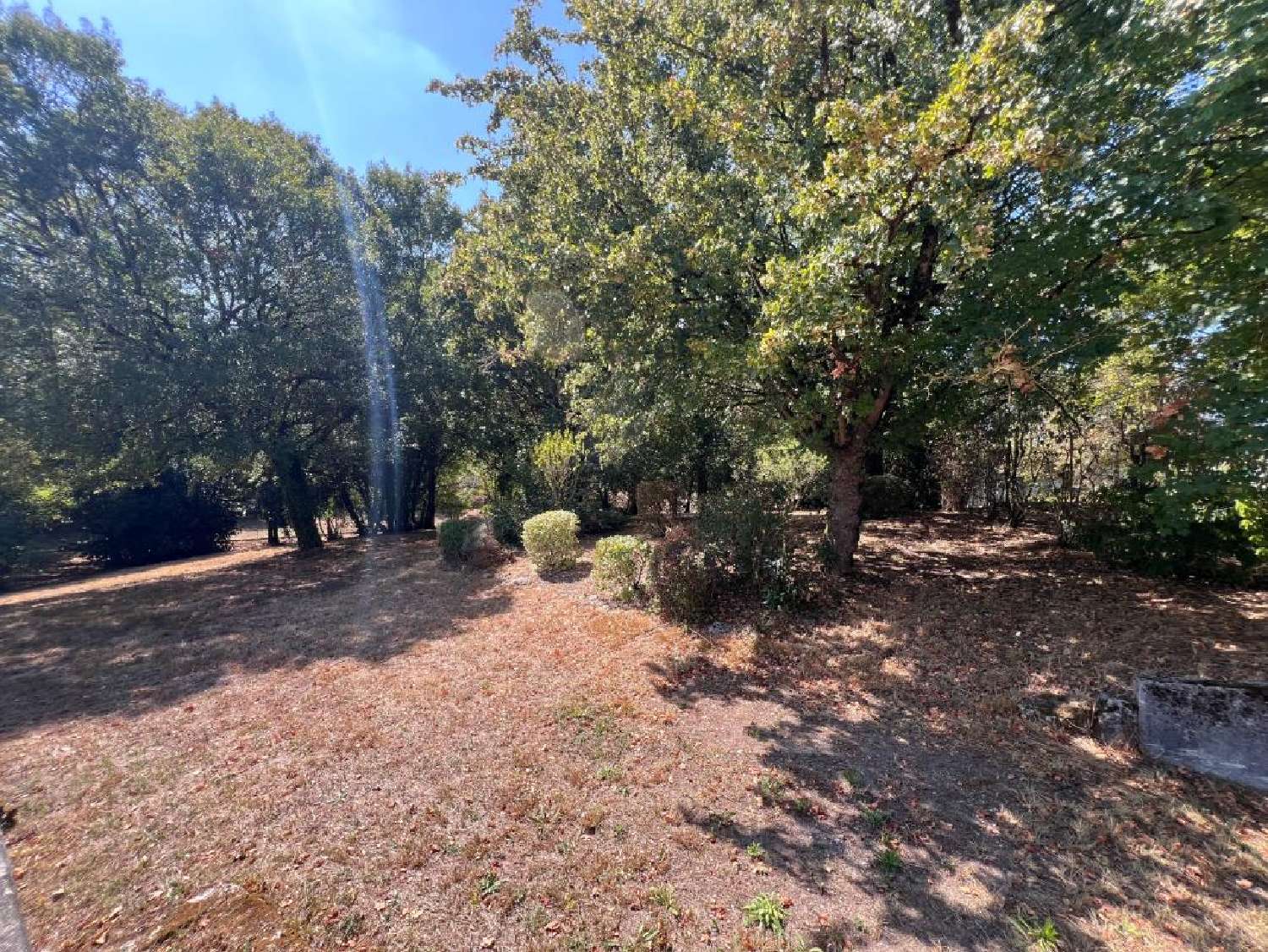 for sale farm Saint-Sulpice-de-Cognac Charente 5