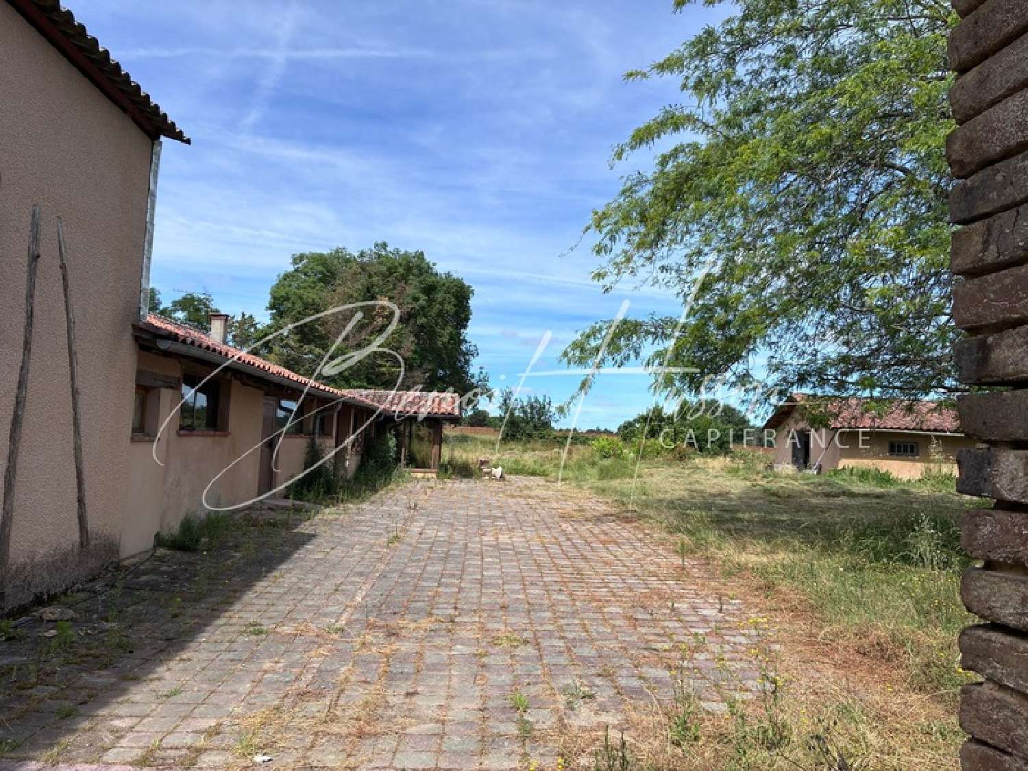  for sale farm Sainte-Foy-de-Peyrolières Haute-Garonne 3