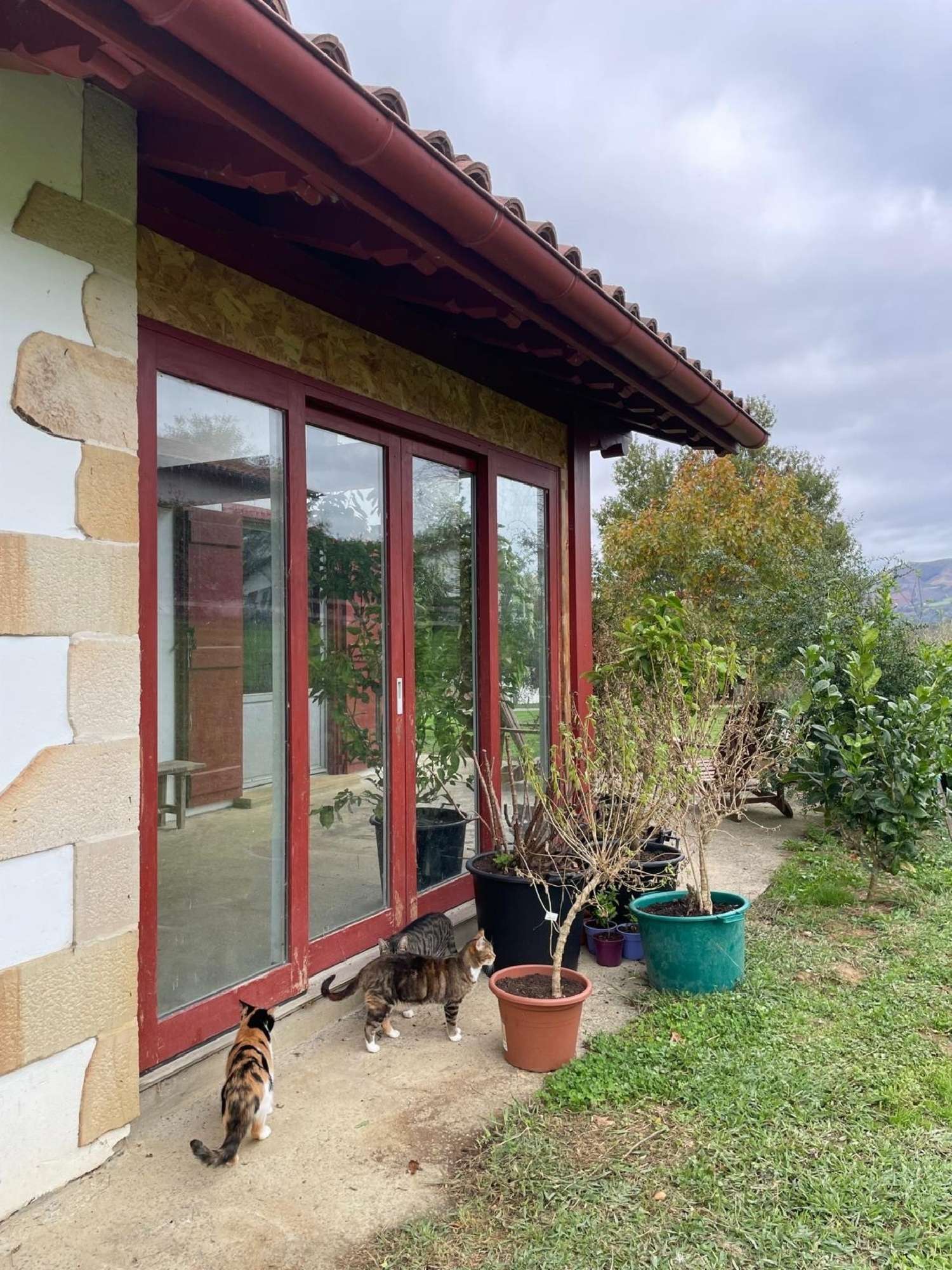 for sale farm Sare Pyrénées-Atlantiques 6