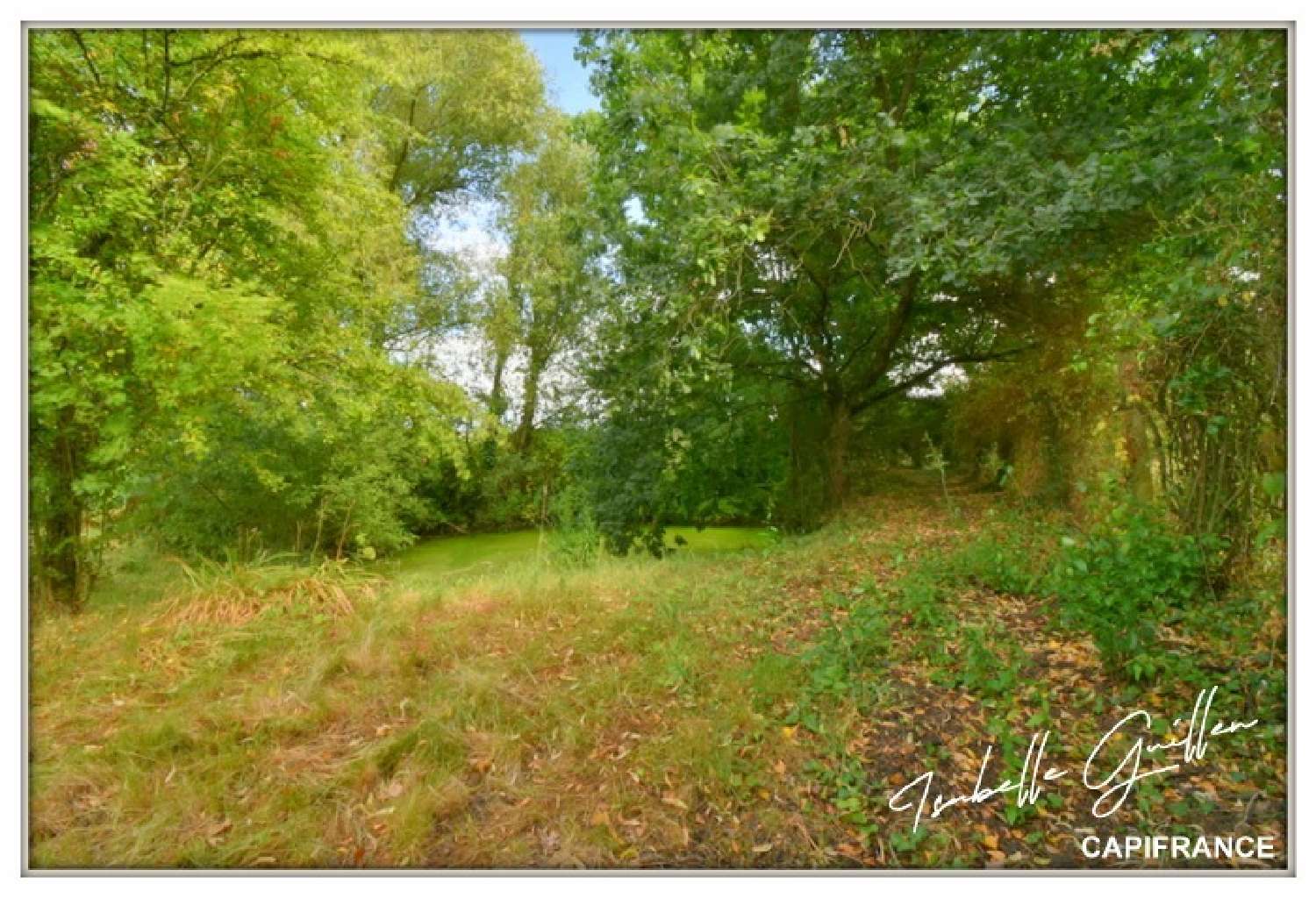 à vendre ferme Touchay Cher 4