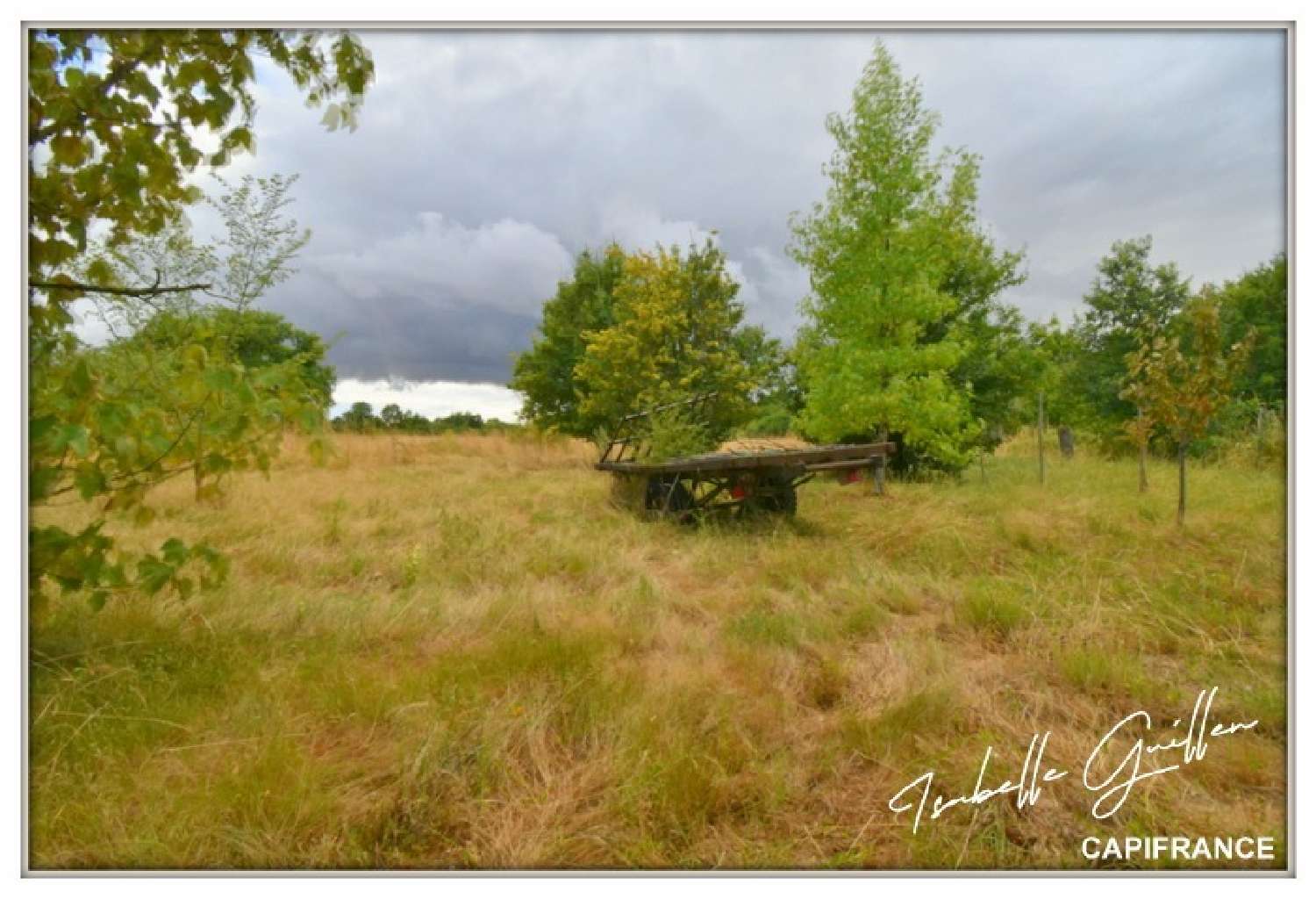 à vendre ferme Touchay Cher 6