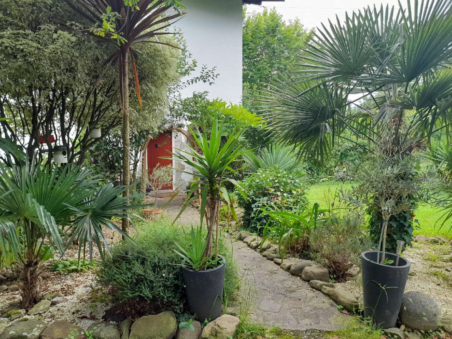  for sale farm Urrugne Pyrénées-Atlantiques 7