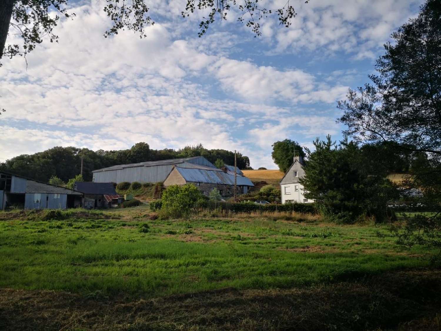te koop boerderij Uzel Côtes-d'Armor 3