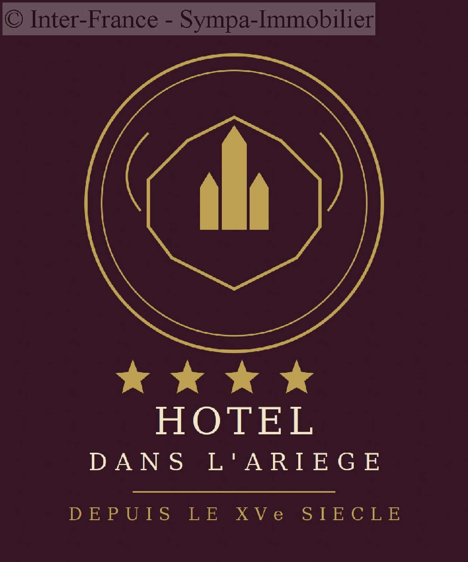  à vendre hôtel restaurant Villeneuve-du-Bosc Ariège 1