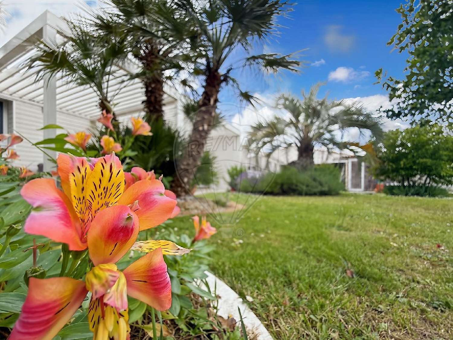 à vendre maison Aigrefeuille-sur-Maine Loire-Atlantique 5