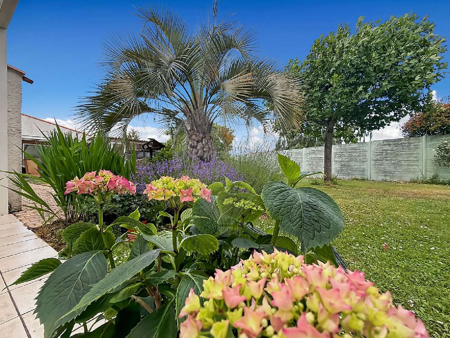 for sale house Aigrefeuille-sur-Maine Loire-Atlantique 7