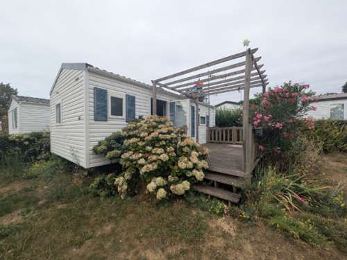 Ambon Morbihan Haus Bild 7392056