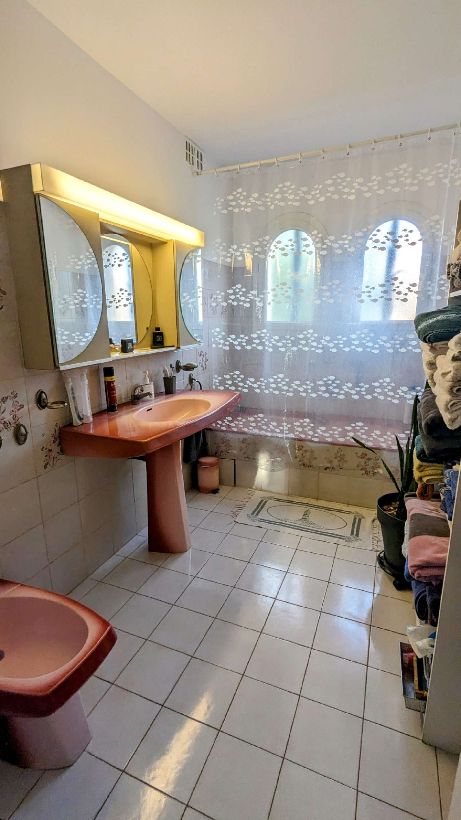à vendre maison Saint-André Pyrénées-Orientales 8
