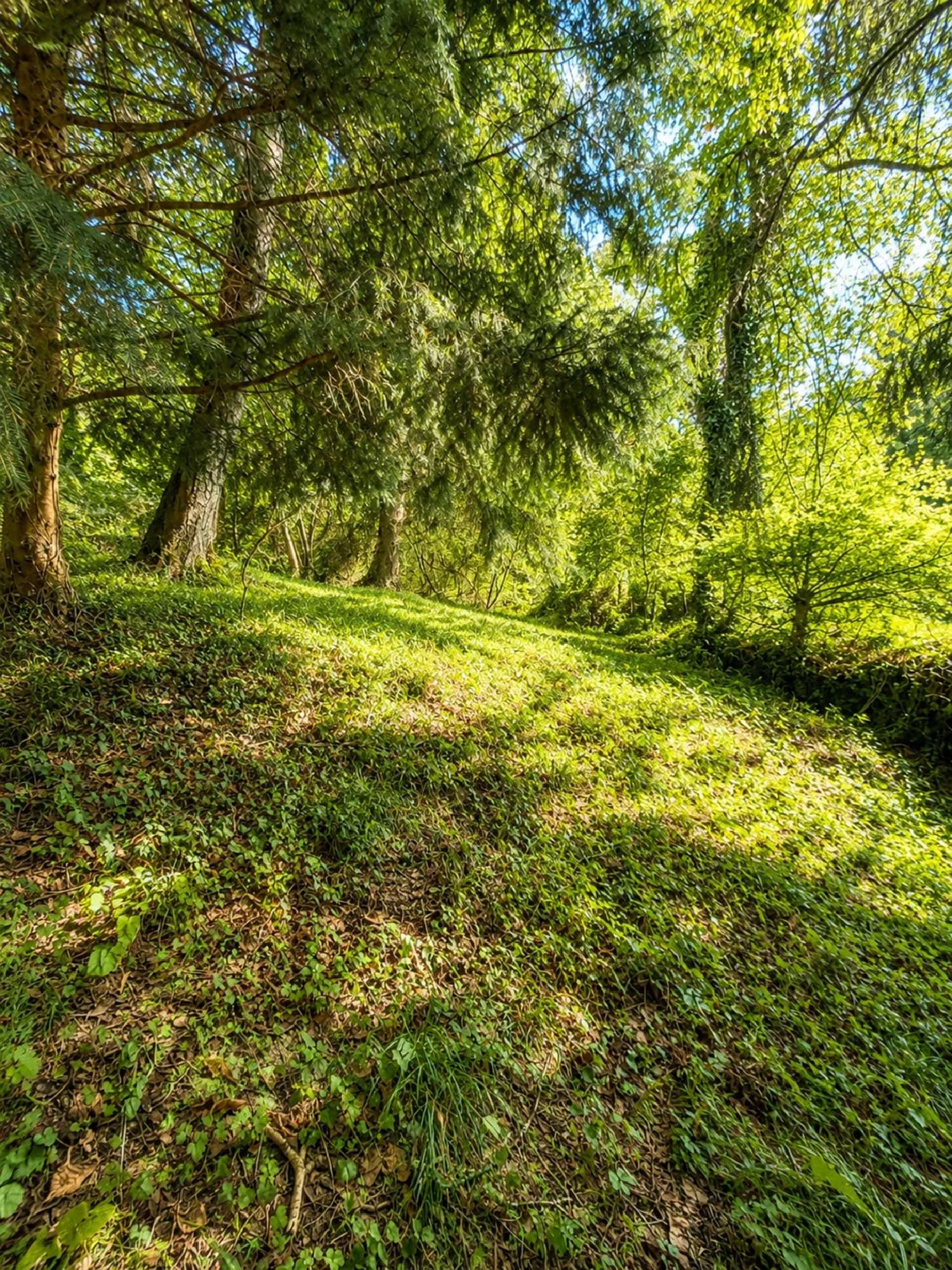  te koop huis Anères Hautes-Pyrénées 7