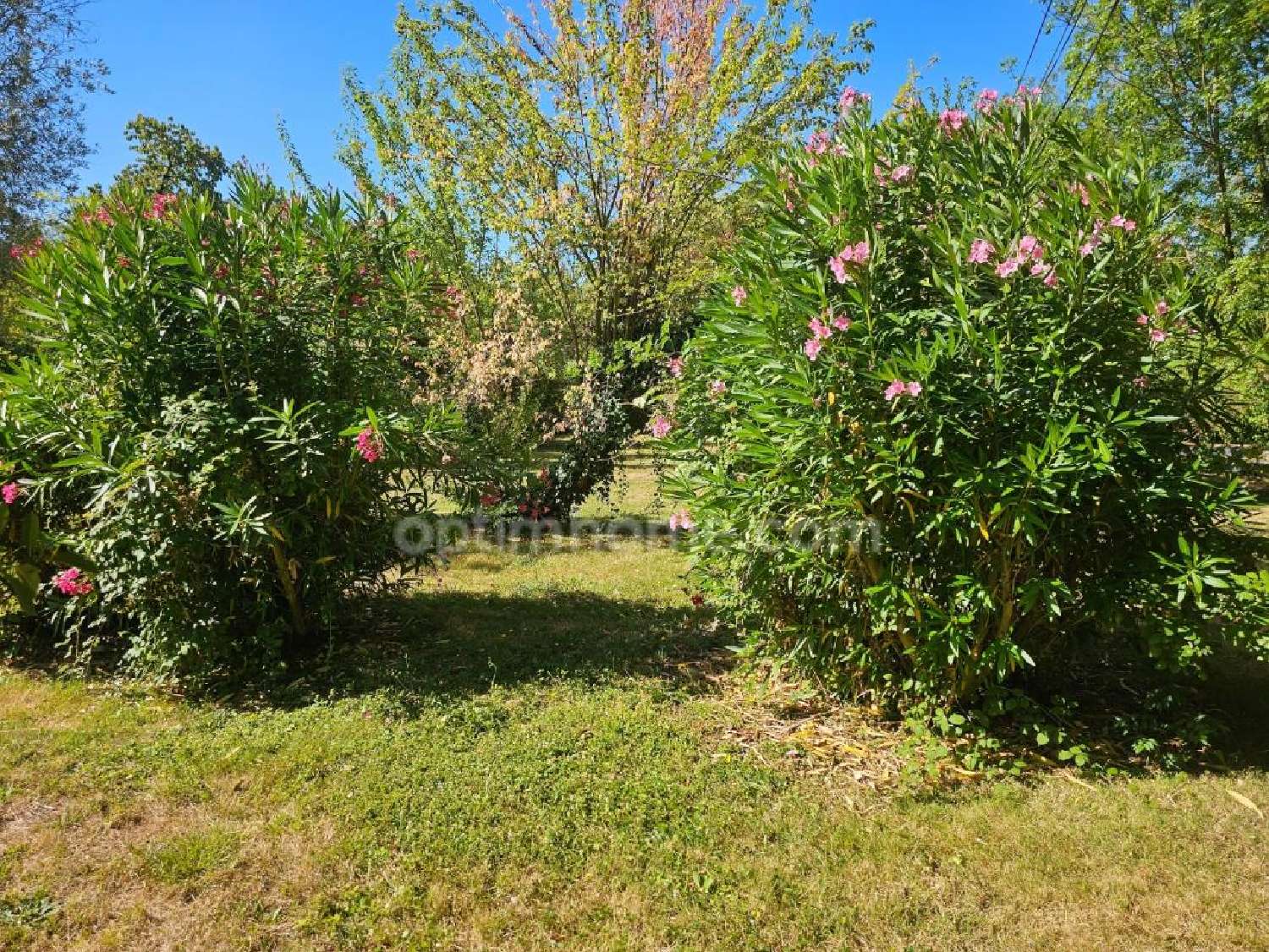 te koop huis Angoulême Charente 4