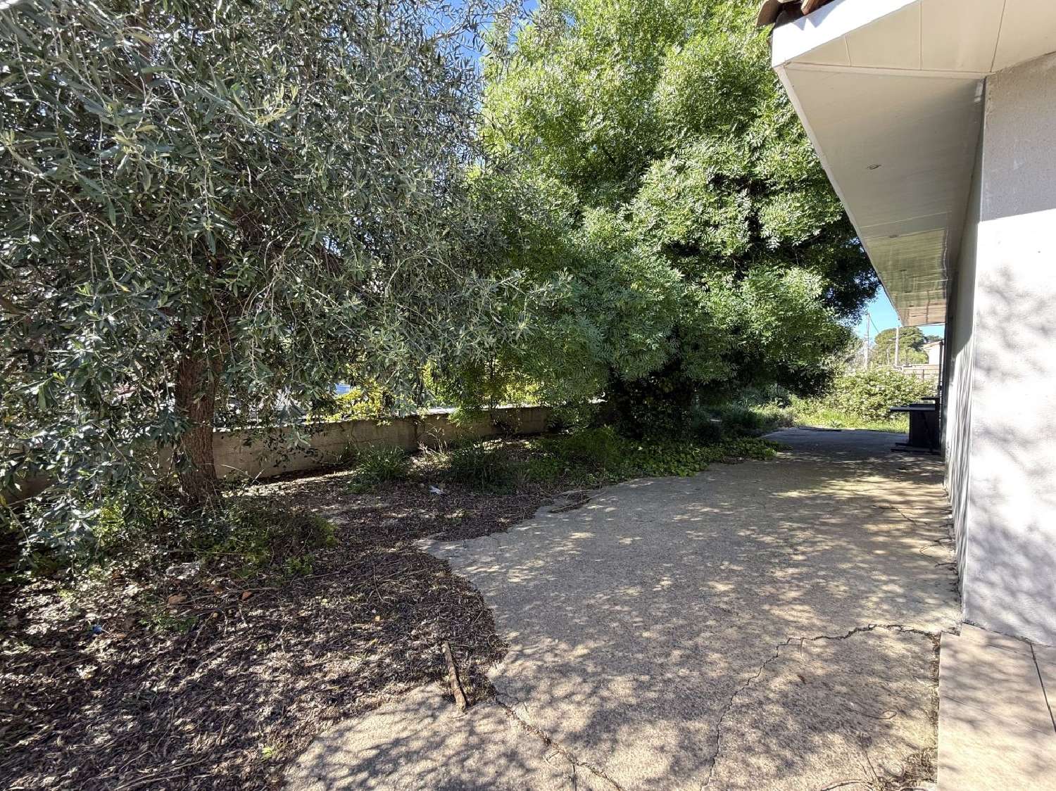te koop huis Argeliers Aude 2