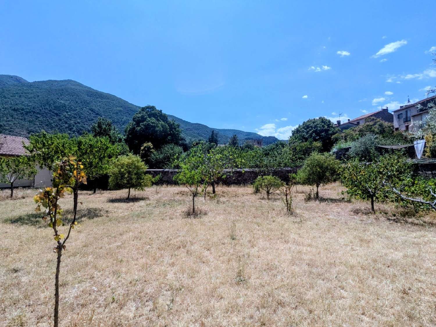  te koop huis Arles-sur-Tech Pyrénées-Orientales 3