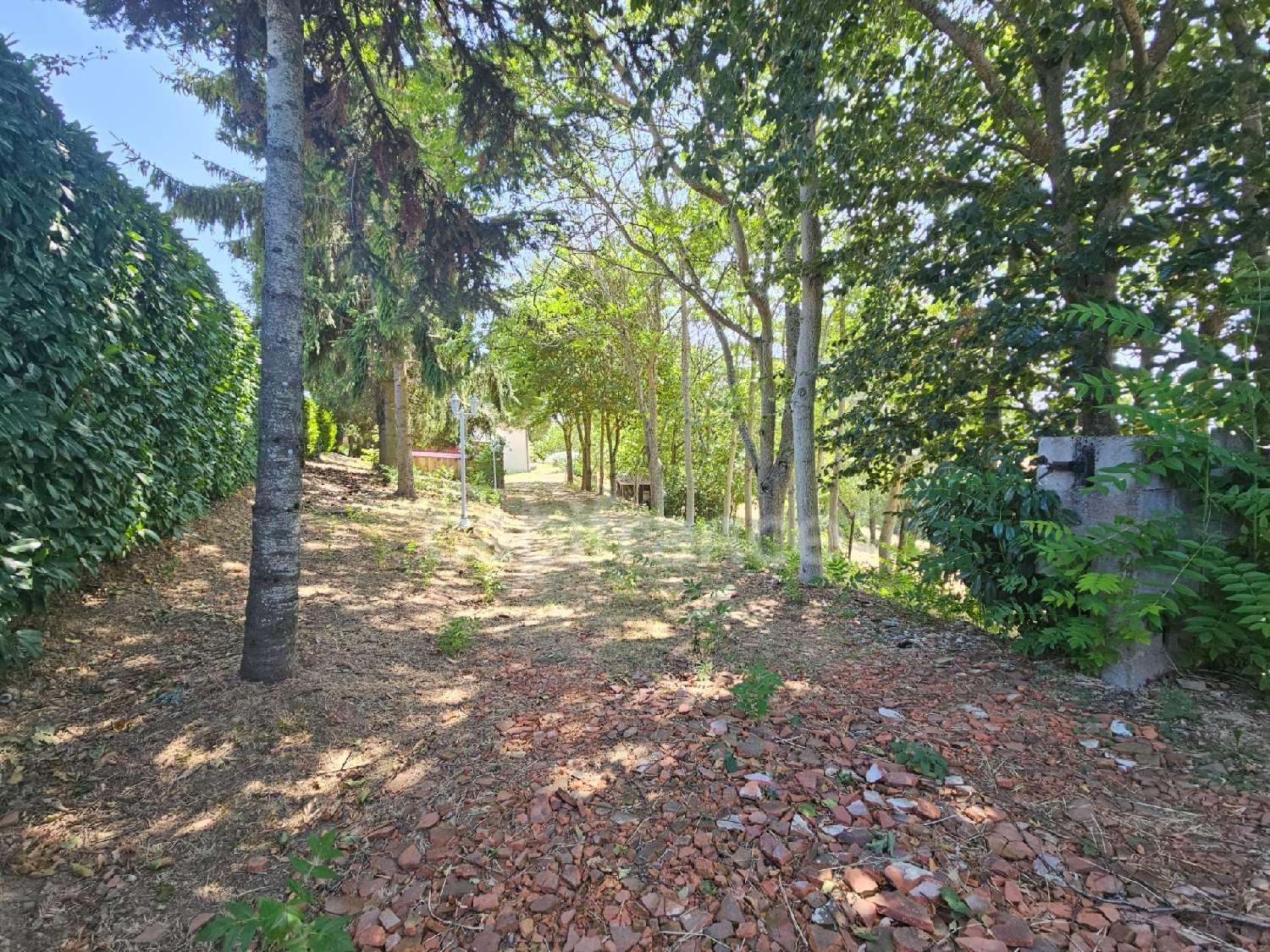 à vendre maison Balbigny Loire 2