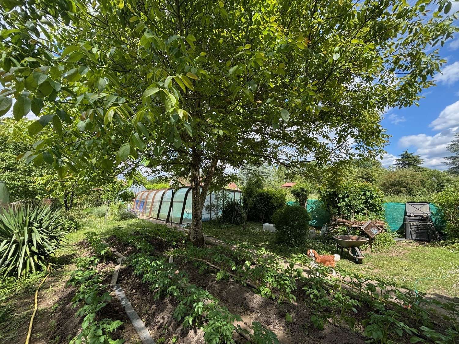 for sale house Beffes Cher 8