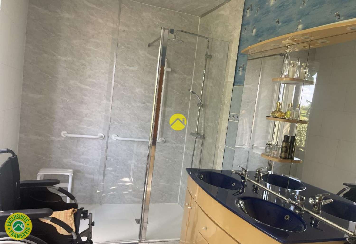 for sale house Blet Cher 1