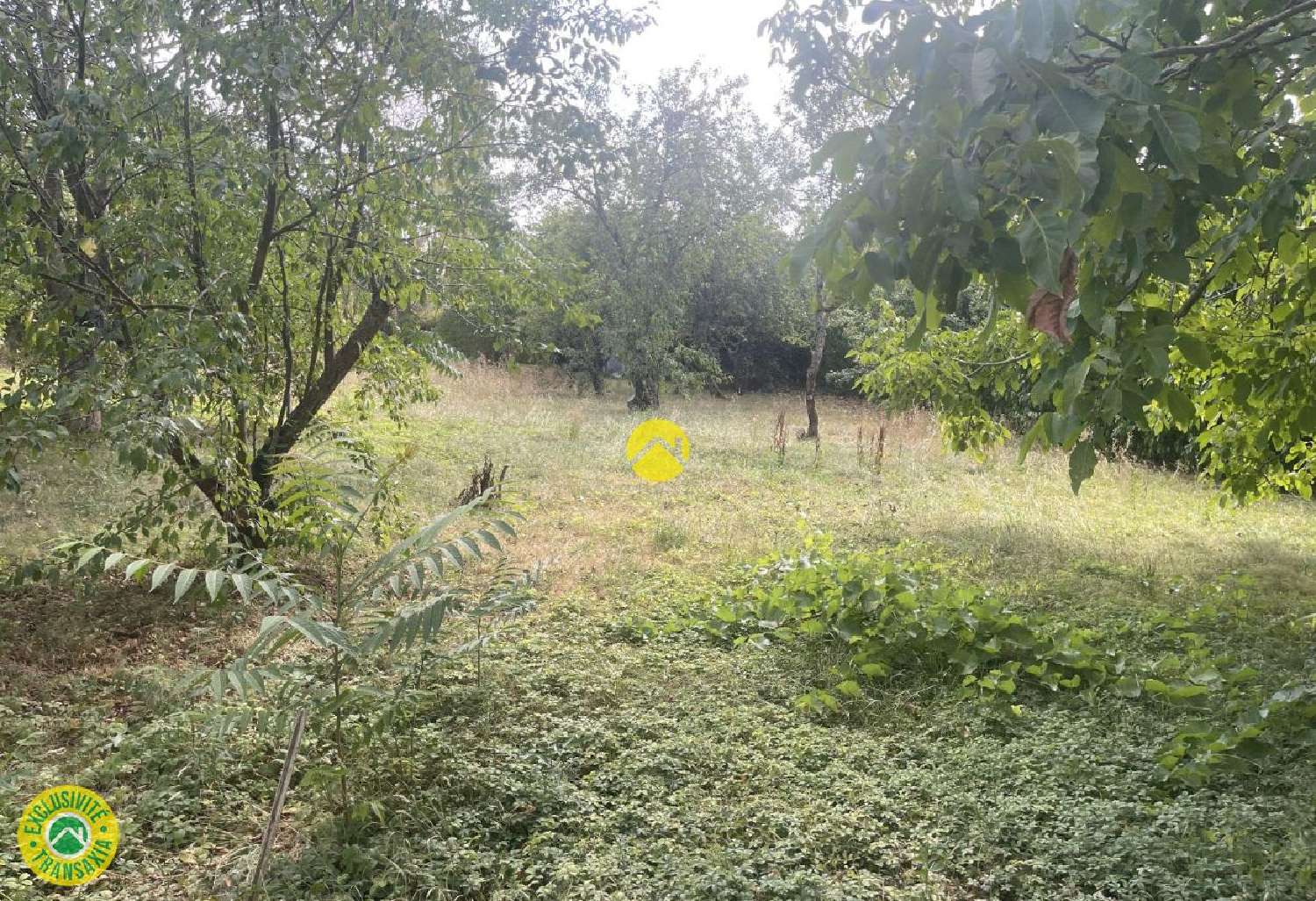 for sale house Blet Cher 2