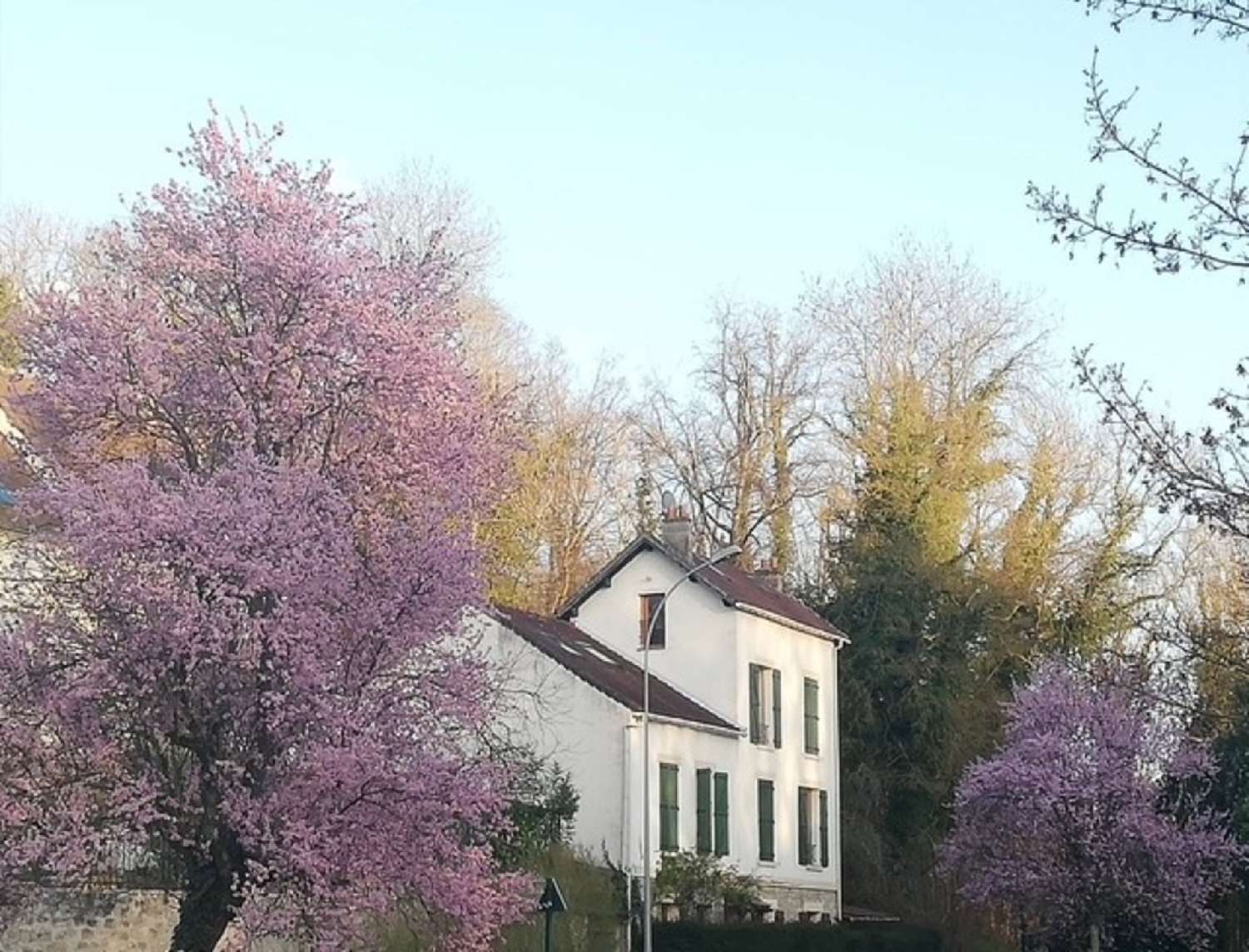 for sale house Boissy-l'Aillerie Val-d'Oise 5