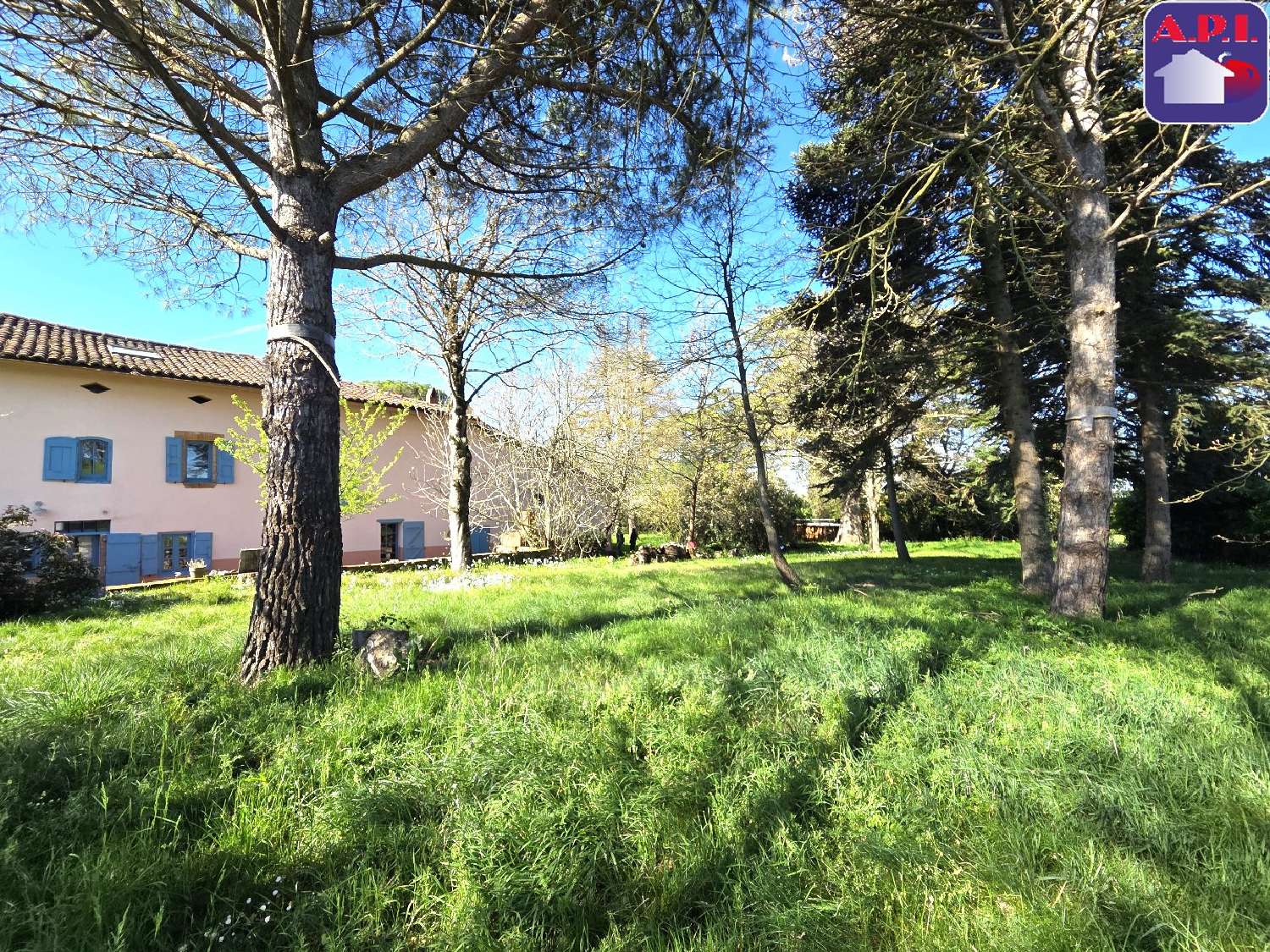  for sale house Calmont Haute-Garonne 3