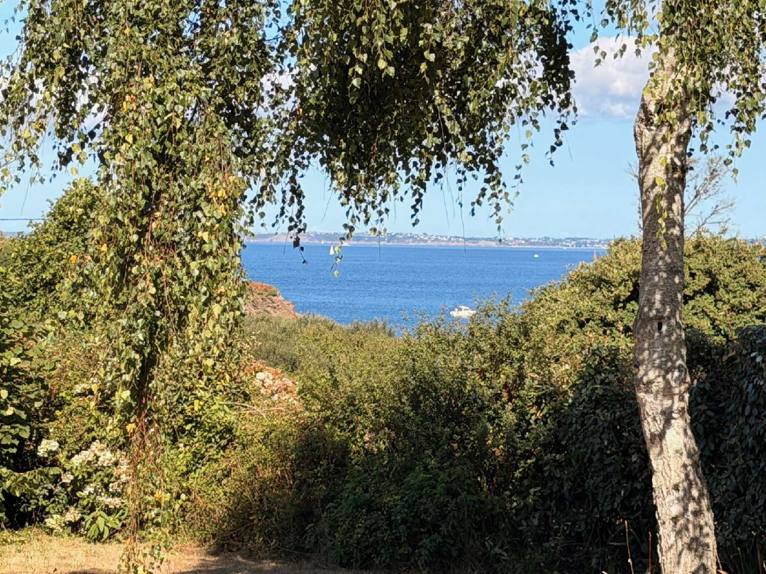 for sale house Camaret-sur-Mer Finistère 4