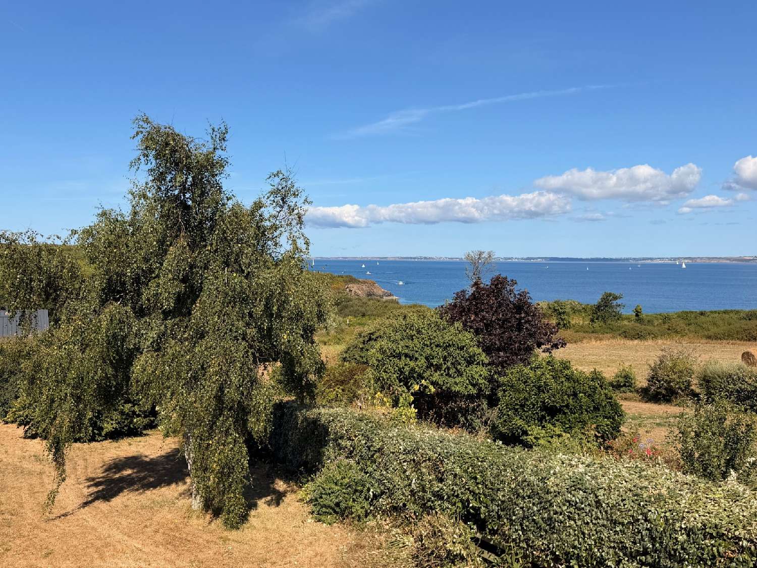 for sale house Camaret-sur-Mer Finistère 5
