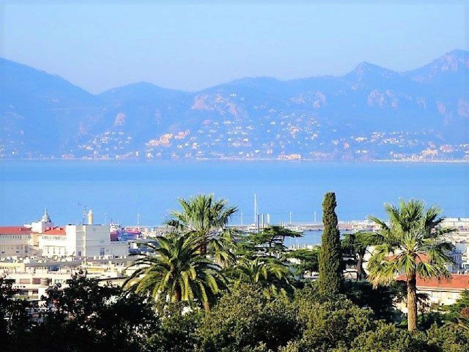 te koop huis Cannes Alpes-Maritimes 1