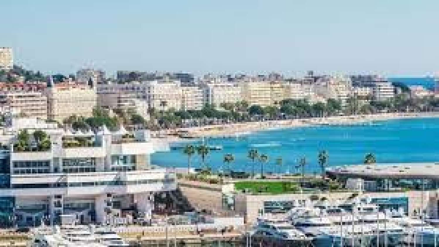 kaufen Haus Cannes Alpes-Maritimes 1