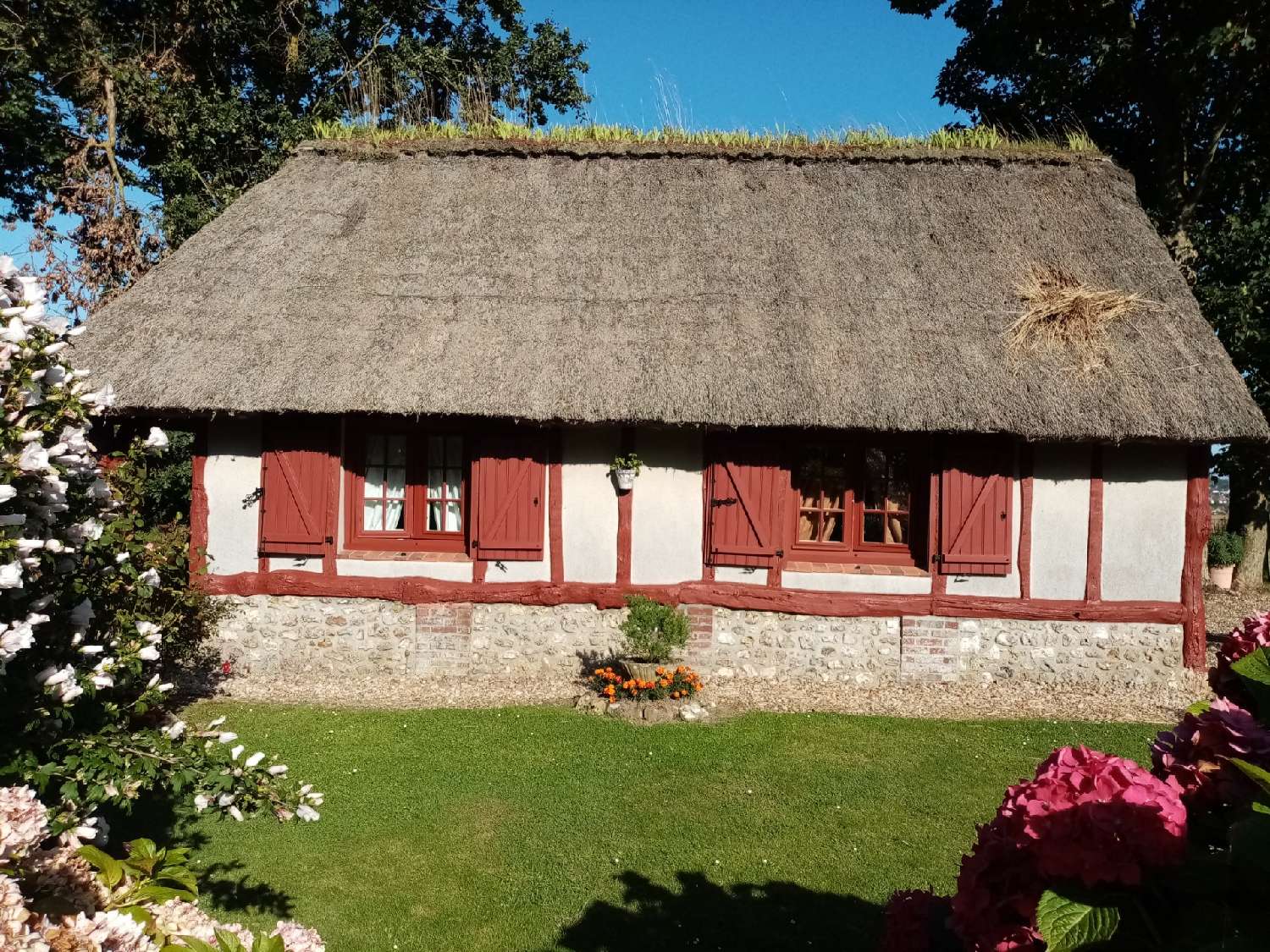  à vendre maison Cany-Barville Seine-Maritime 4