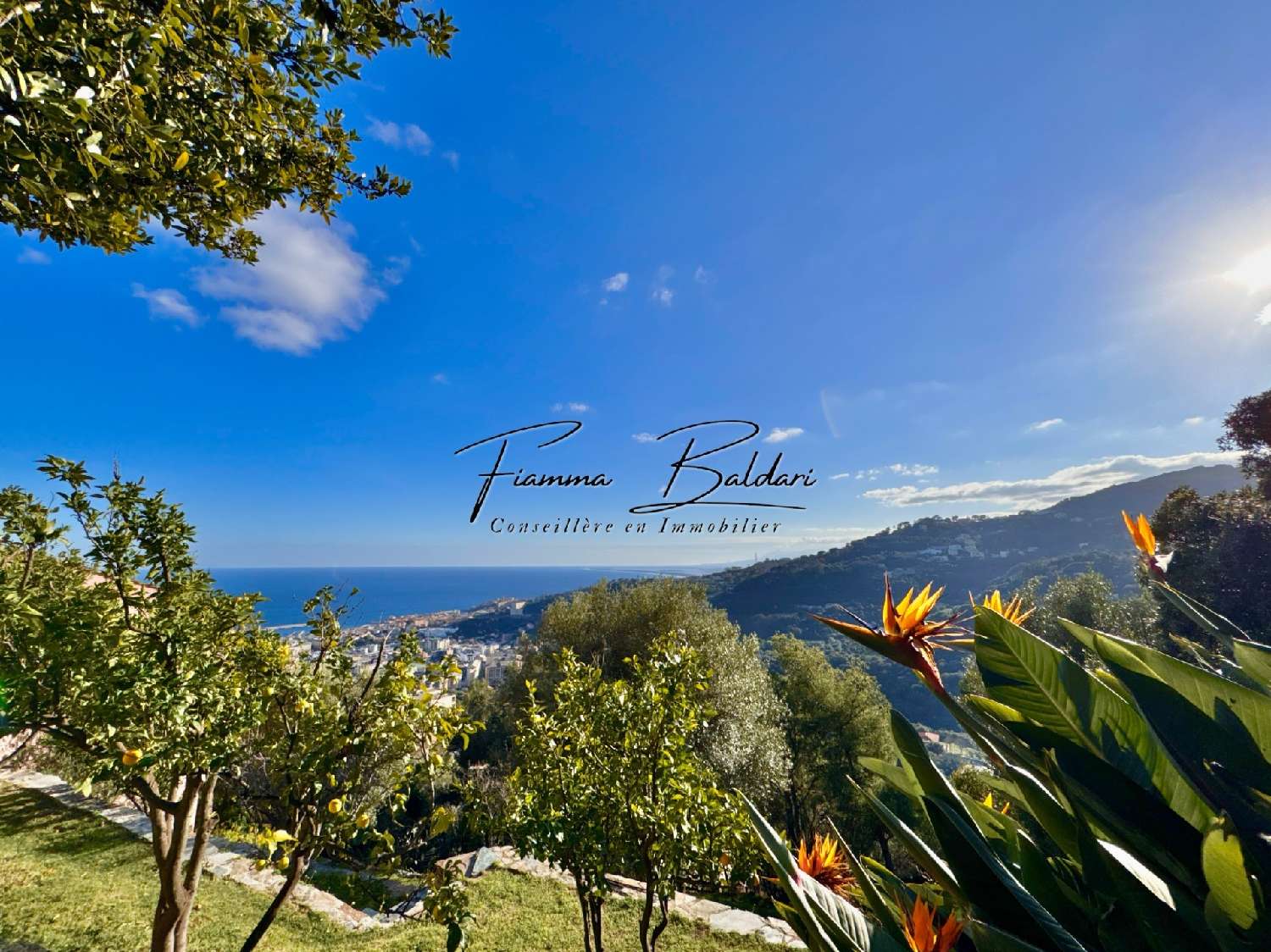 kaufen Haus Cardo Haute-Corse 1