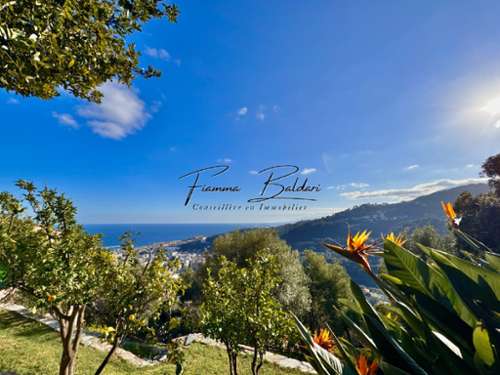 Cardo Haute-Corse Haus Bild 7384128