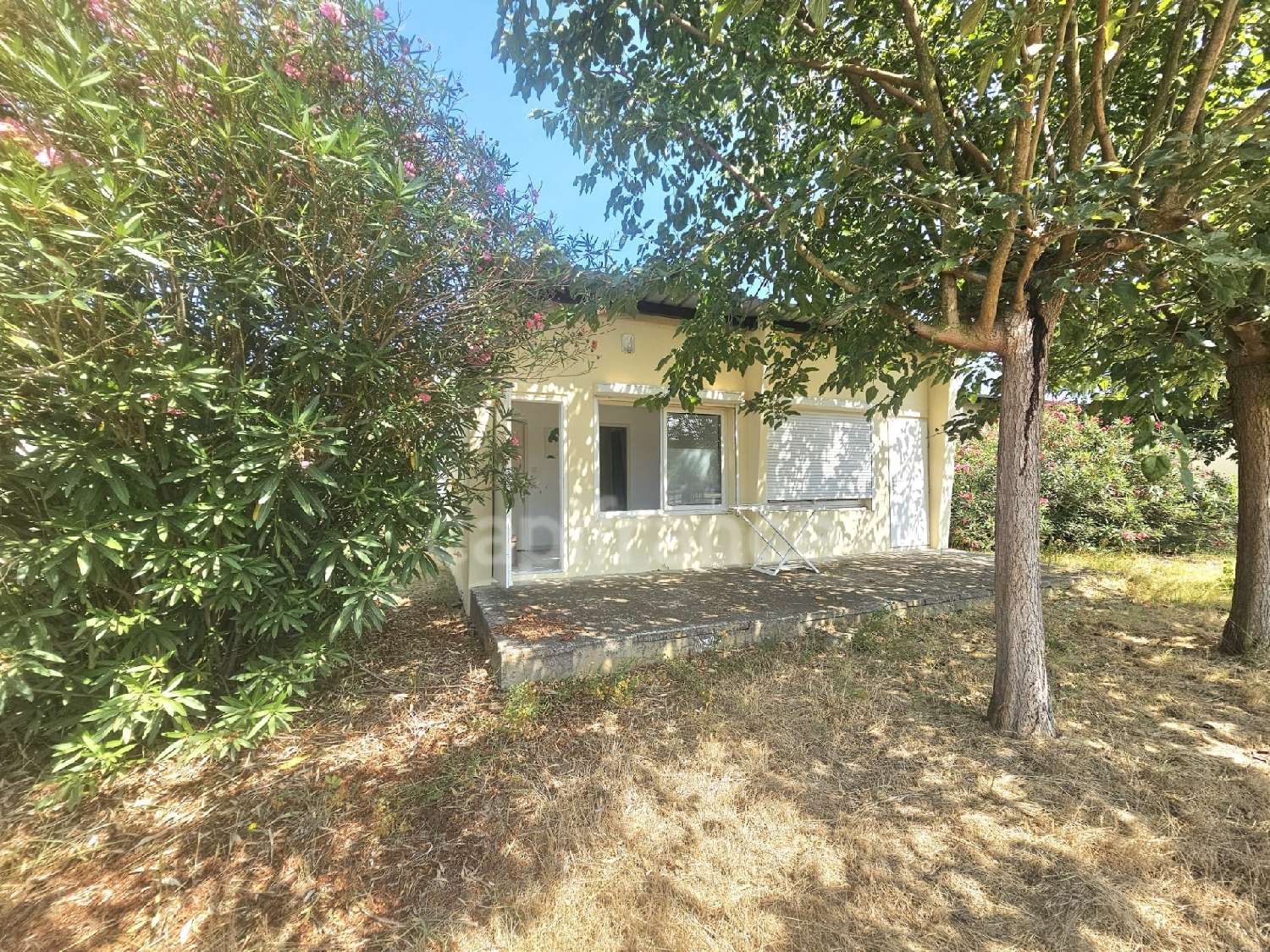  à vendre maison Castellare-di-Casinca Haute-Corse 2