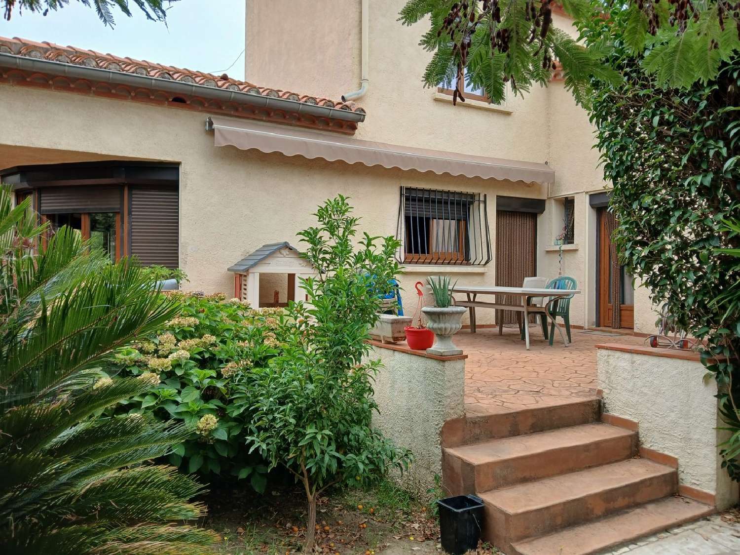  kaufen Haus Céret Pyrénées-Orientales 1