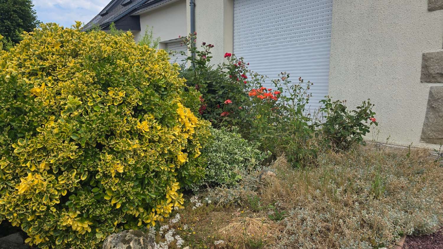for sale house Cesson-Sévigné Ille-et-Vilaine 3
