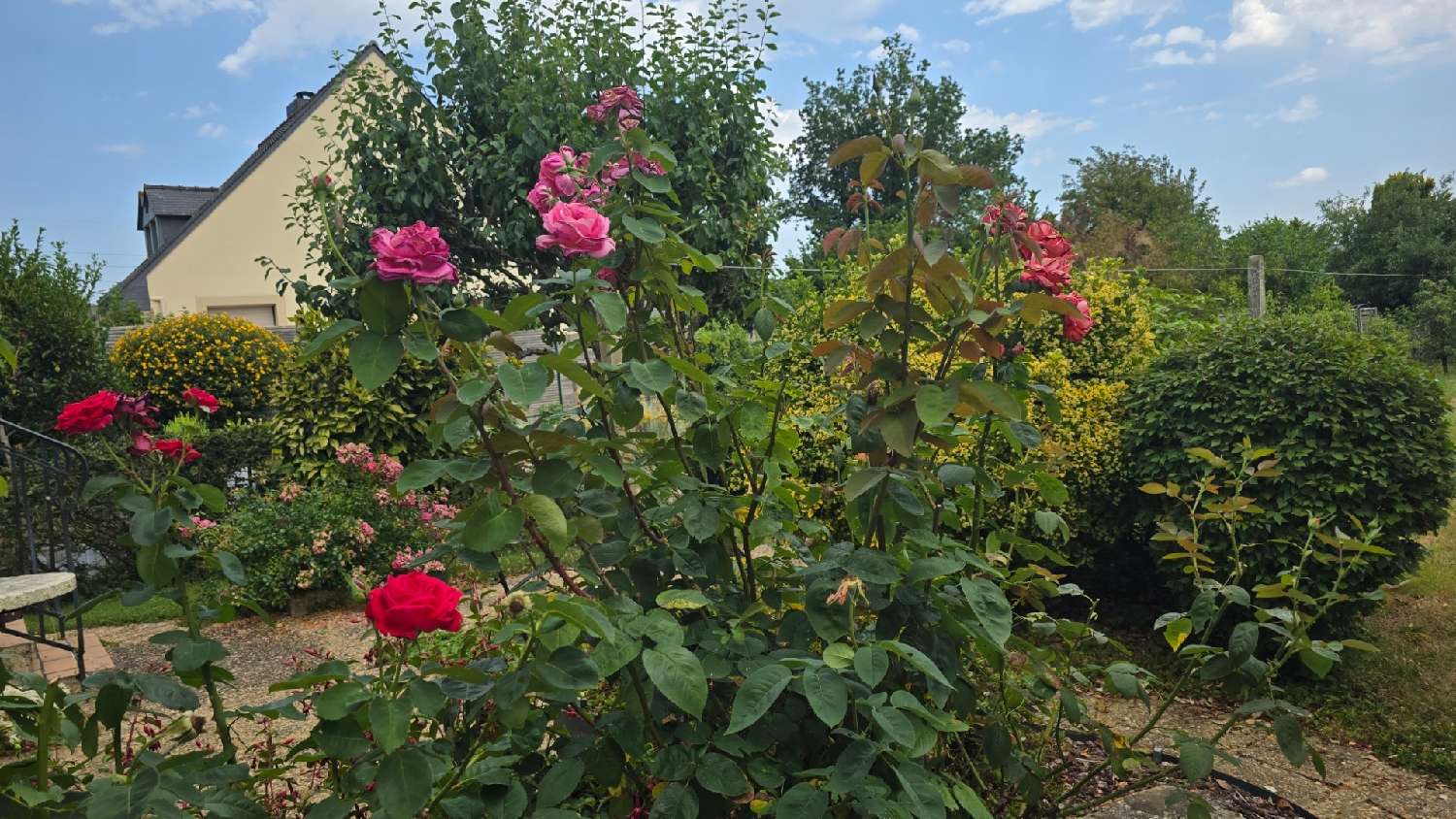 for sale house Cesson-Sévigné Ille-et-Vilaine 6