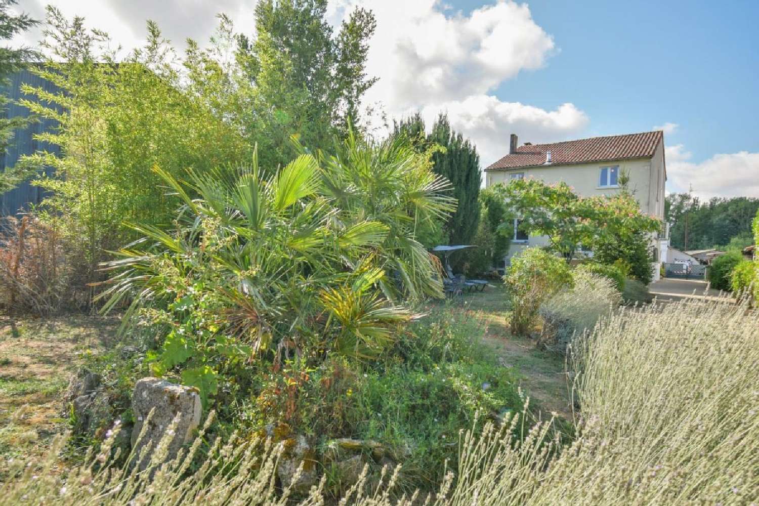 à vendre maison Champagne-Mouton Charente 4
