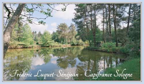 Chaon Loir-et-Cher house foto 7383640
