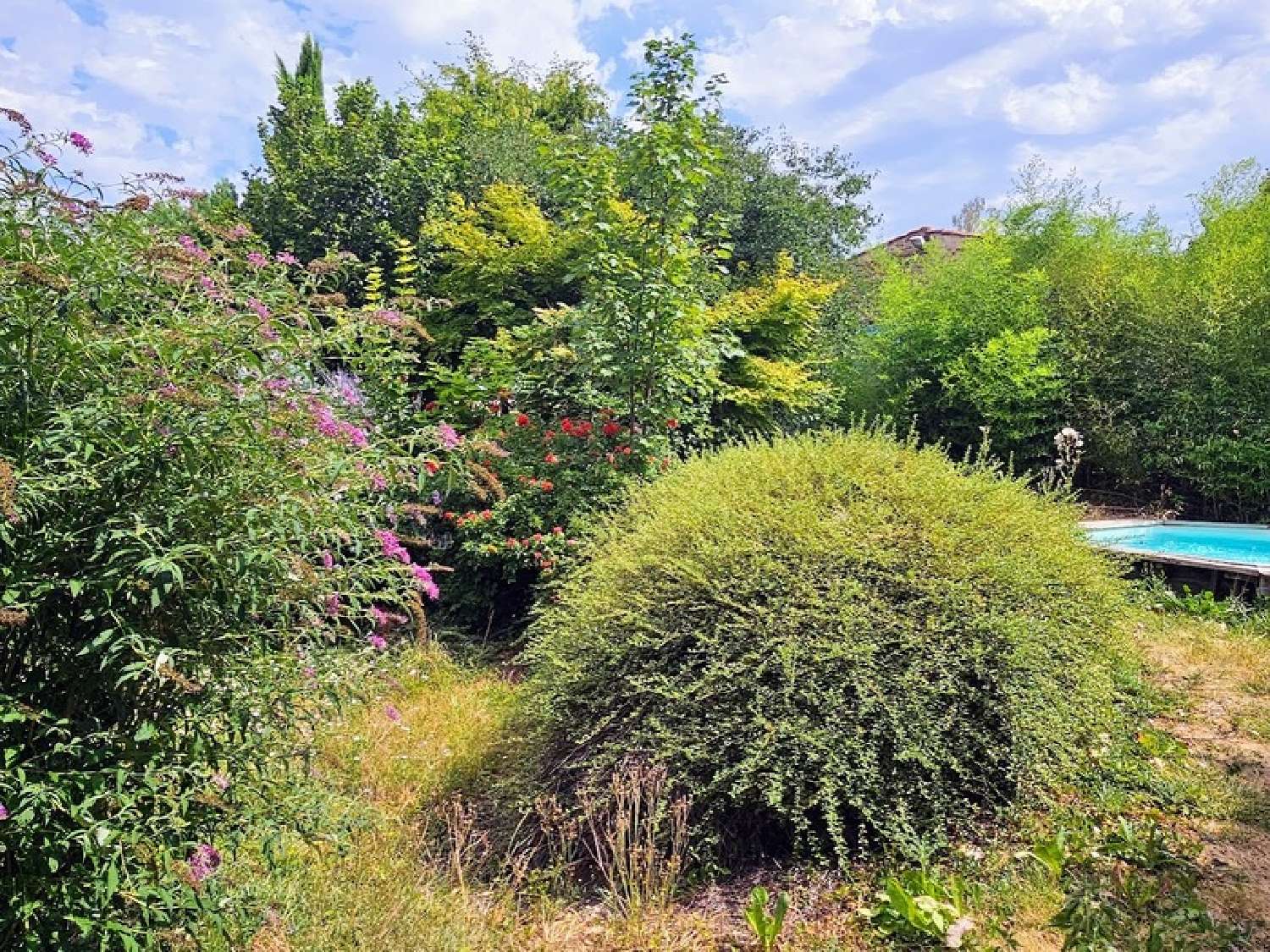 for sale house Chauriat Puy-de-Dôme 3