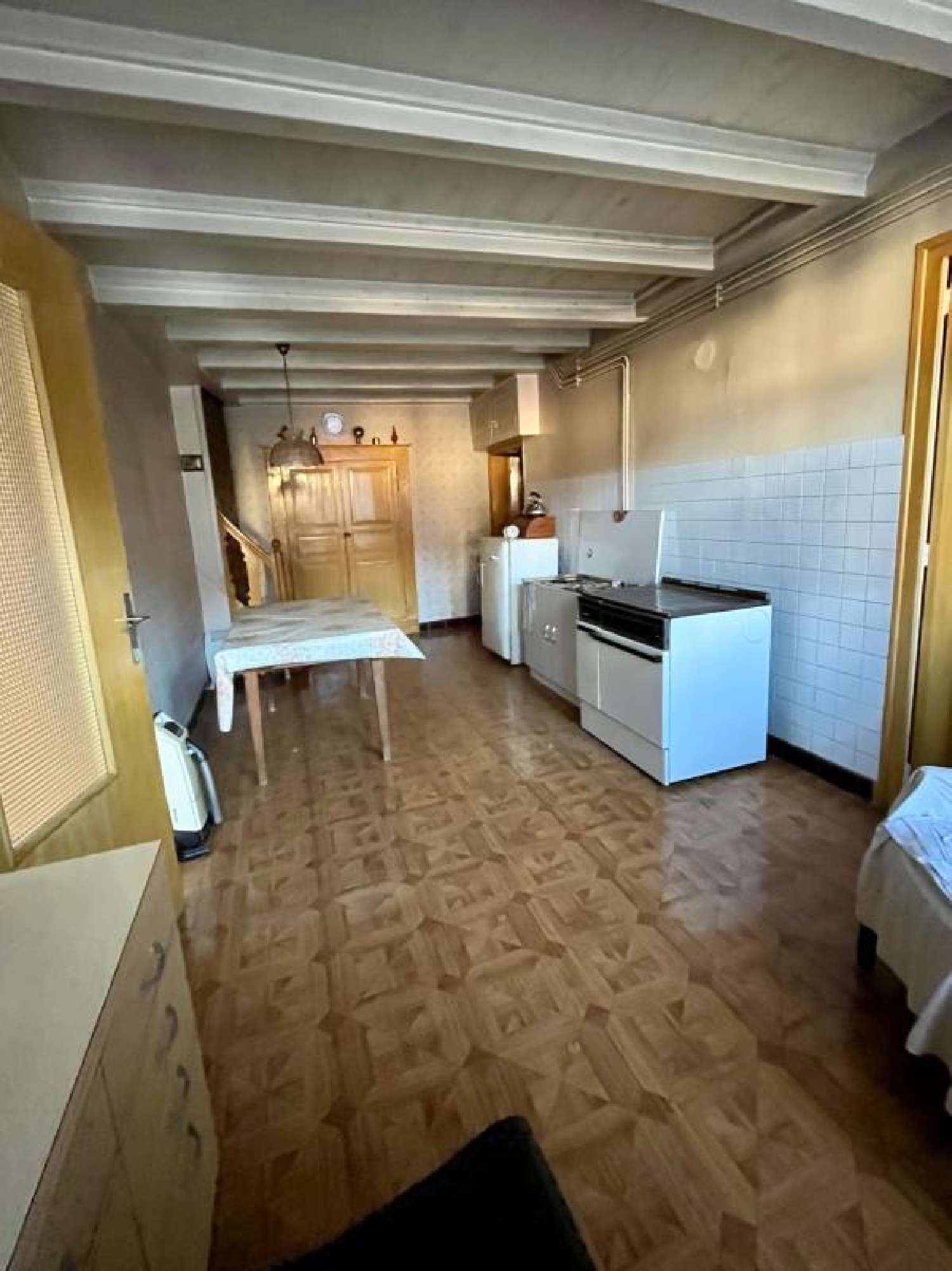 à vendre maison Chevillard Ain 3