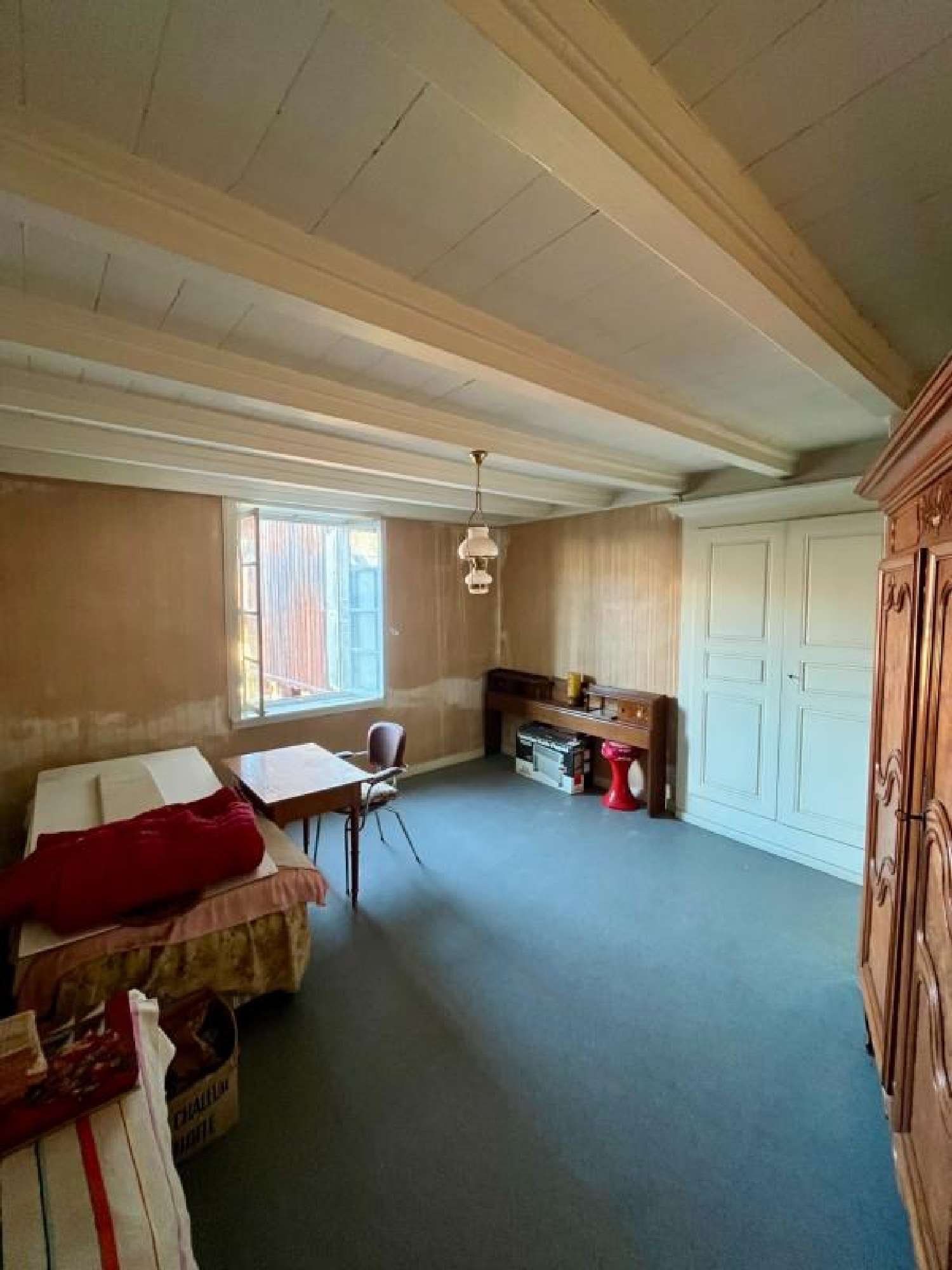 à vendre maison Chevillard Ain 7