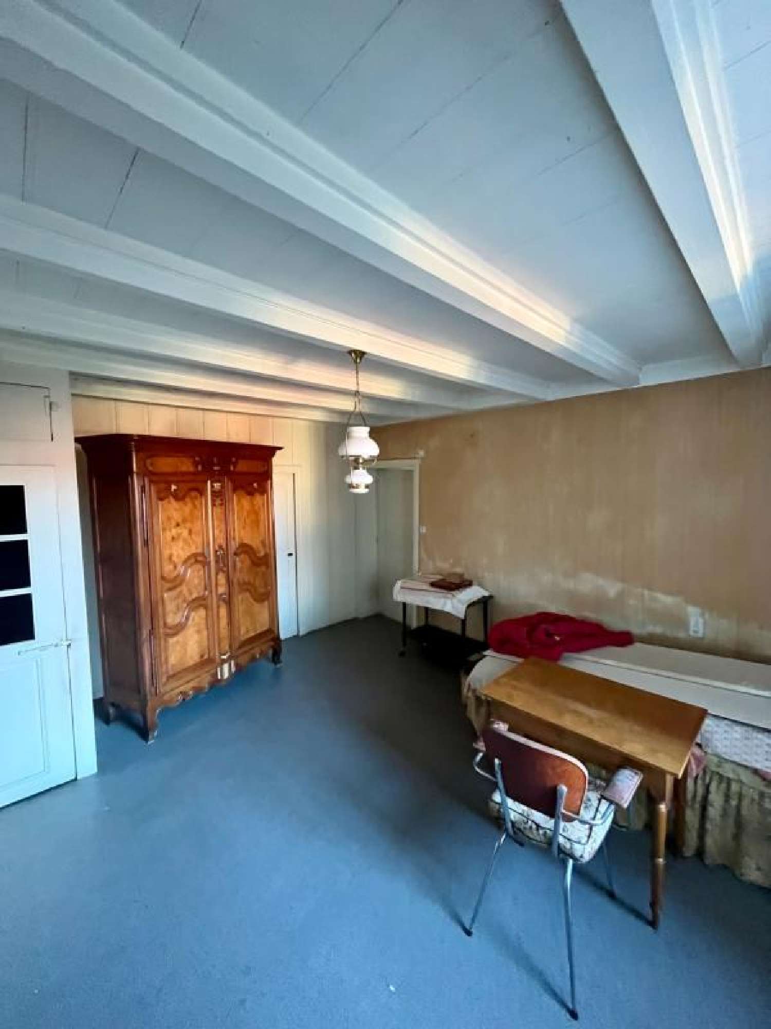 à vendre maison Chevillard Ain 8